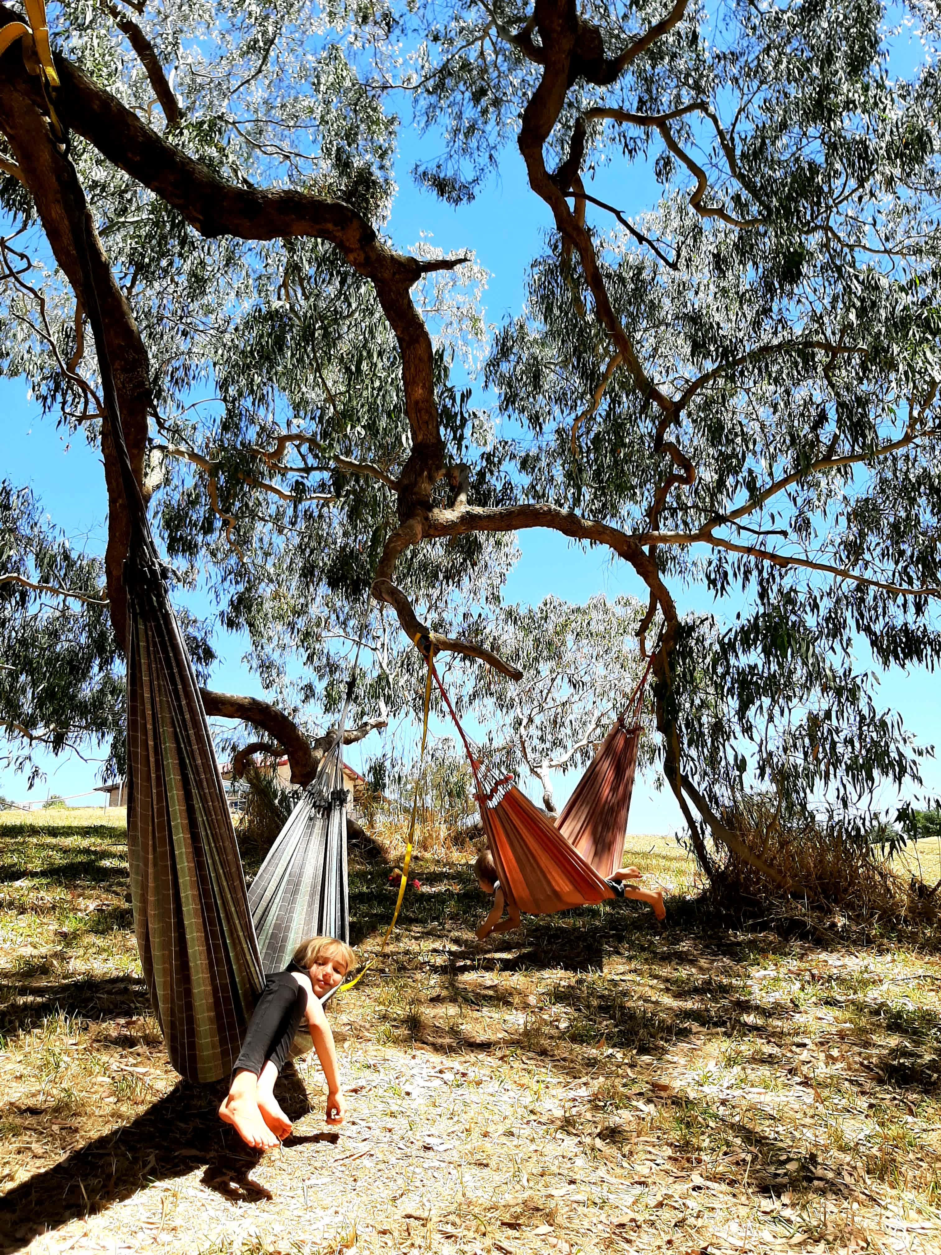 Time to relax... bring your hammock if you have one or two or three. The huge apple box tree provides a perfect spot to chill in the shade.