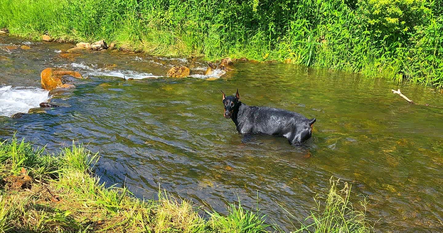Stoney Creek Oasis Campground