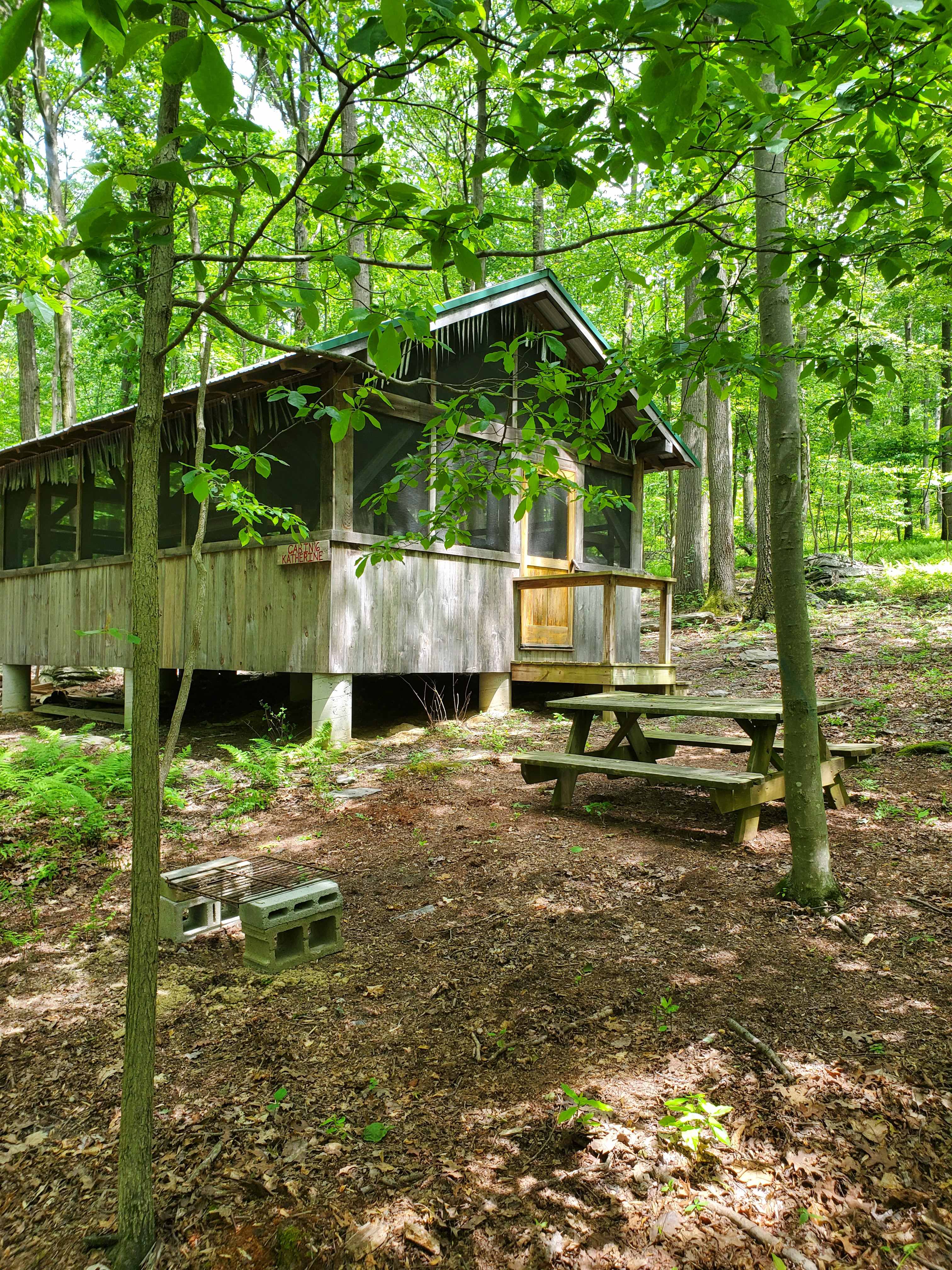 Picture of the site
