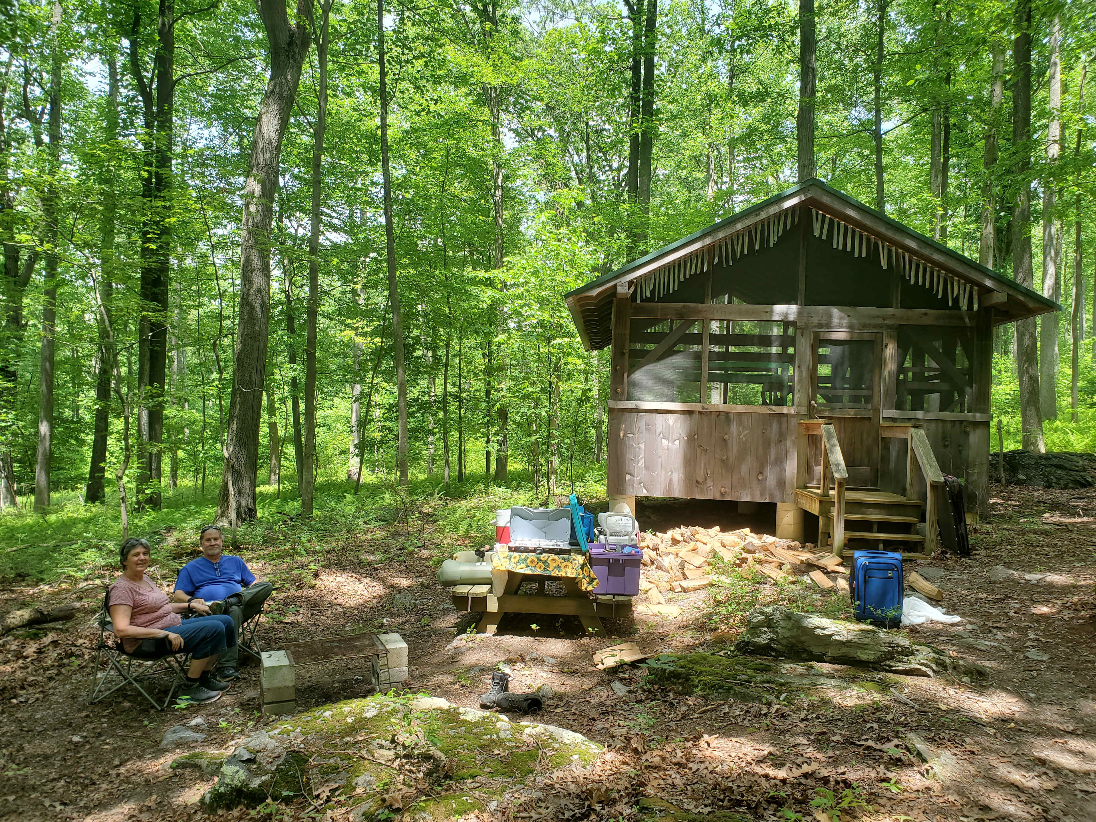 Picture of the site