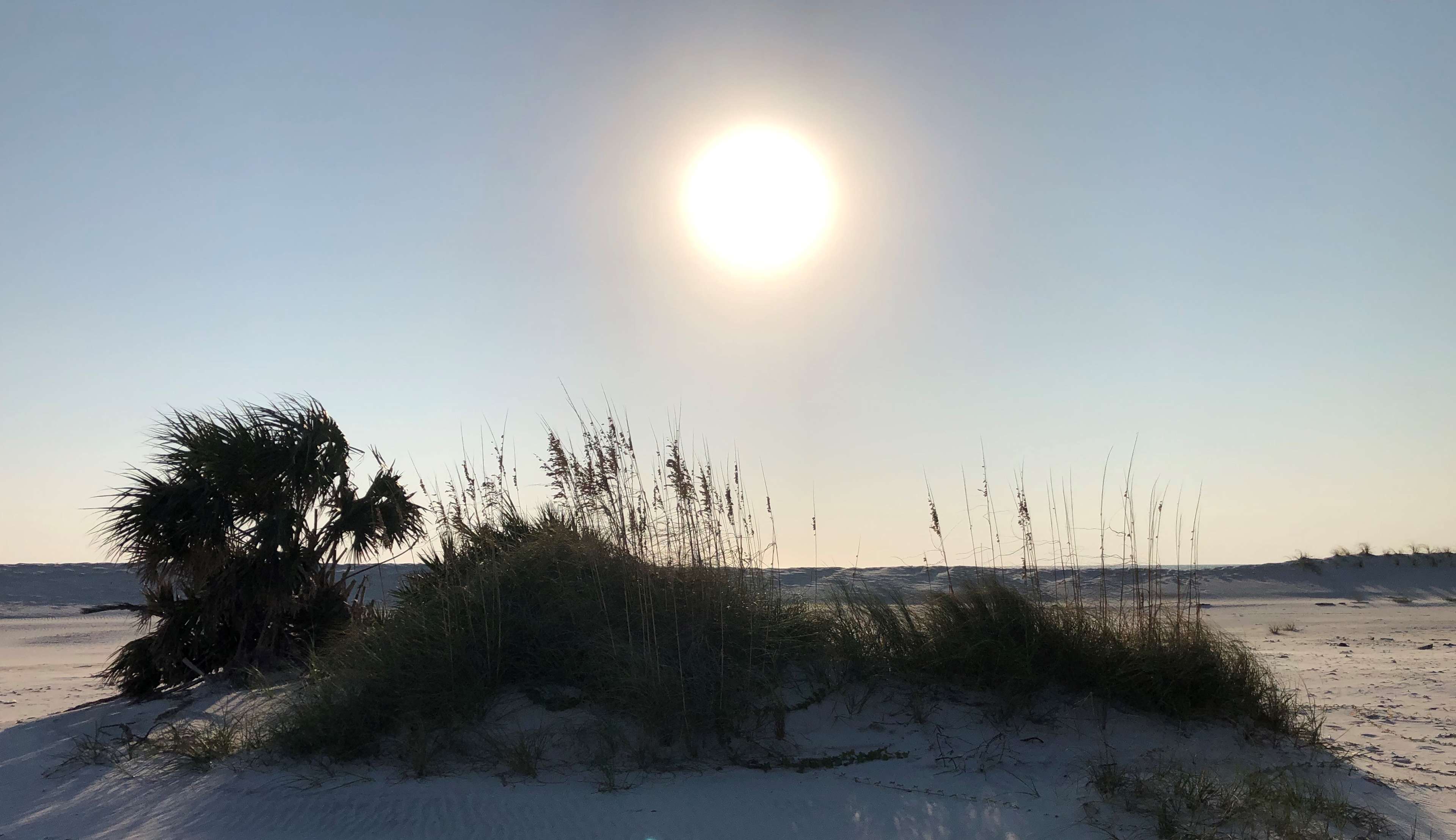 Escape to the Cape RV