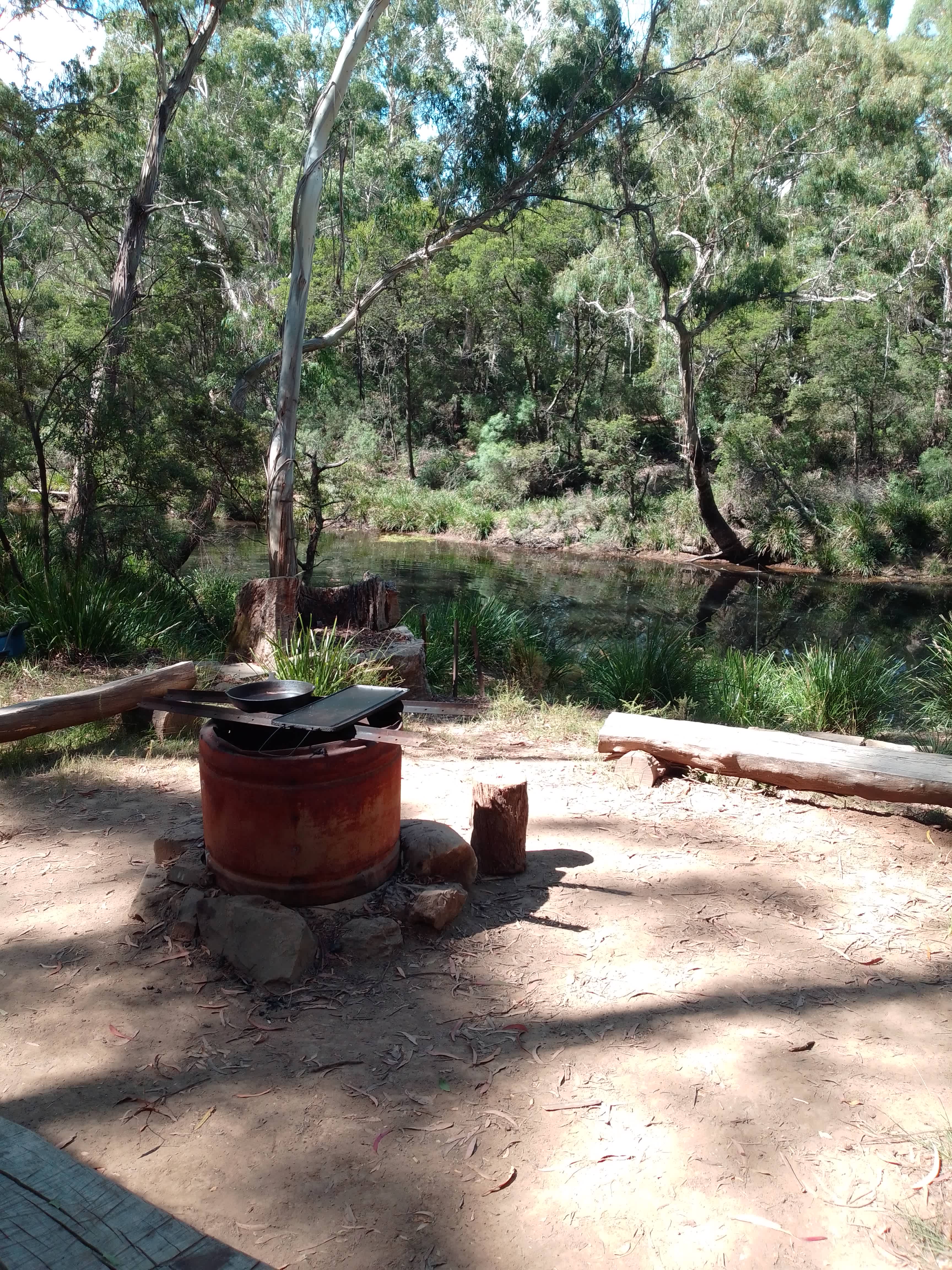 Scribbly Gum secluded bush camping