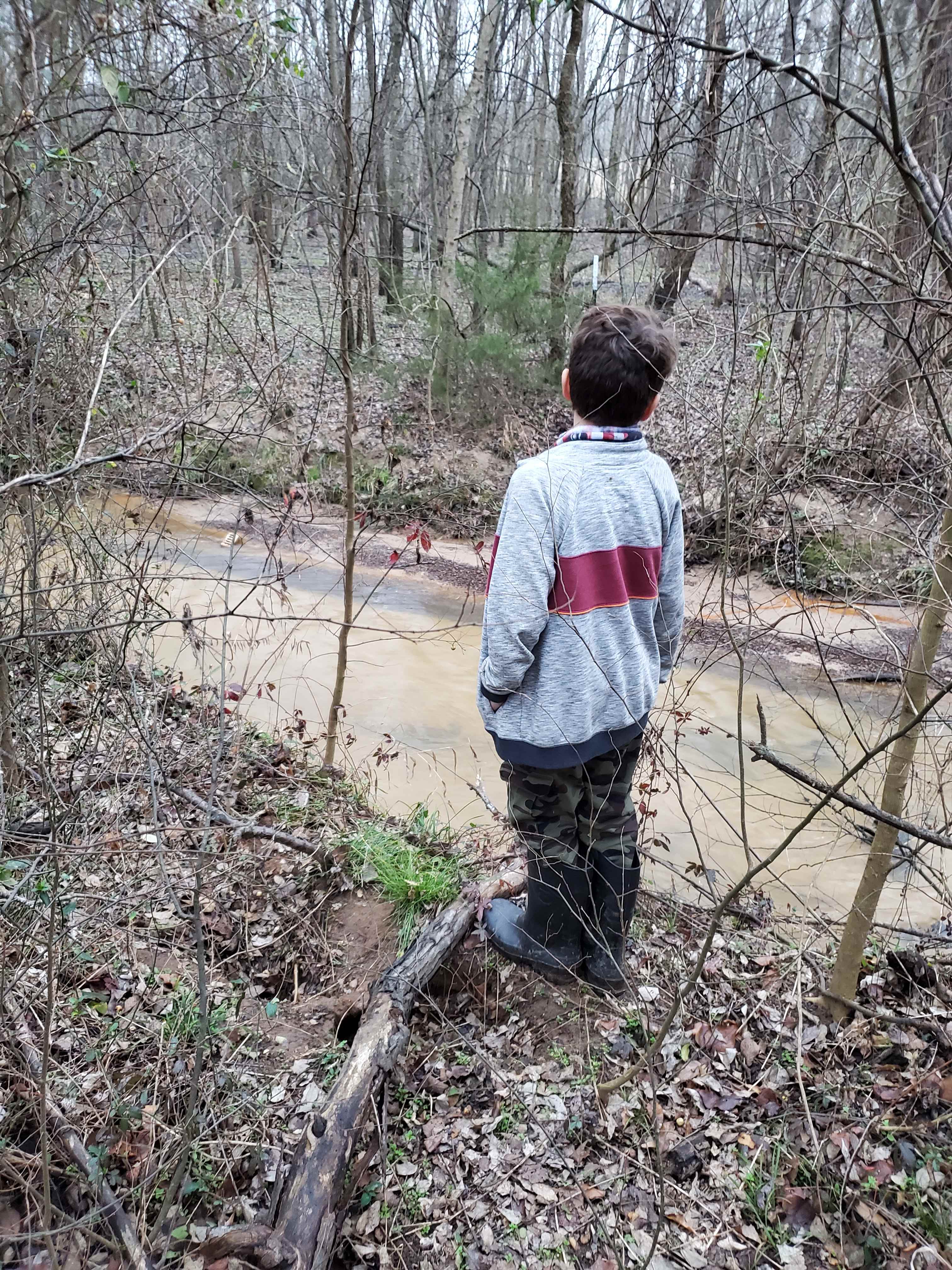 Spring creek 