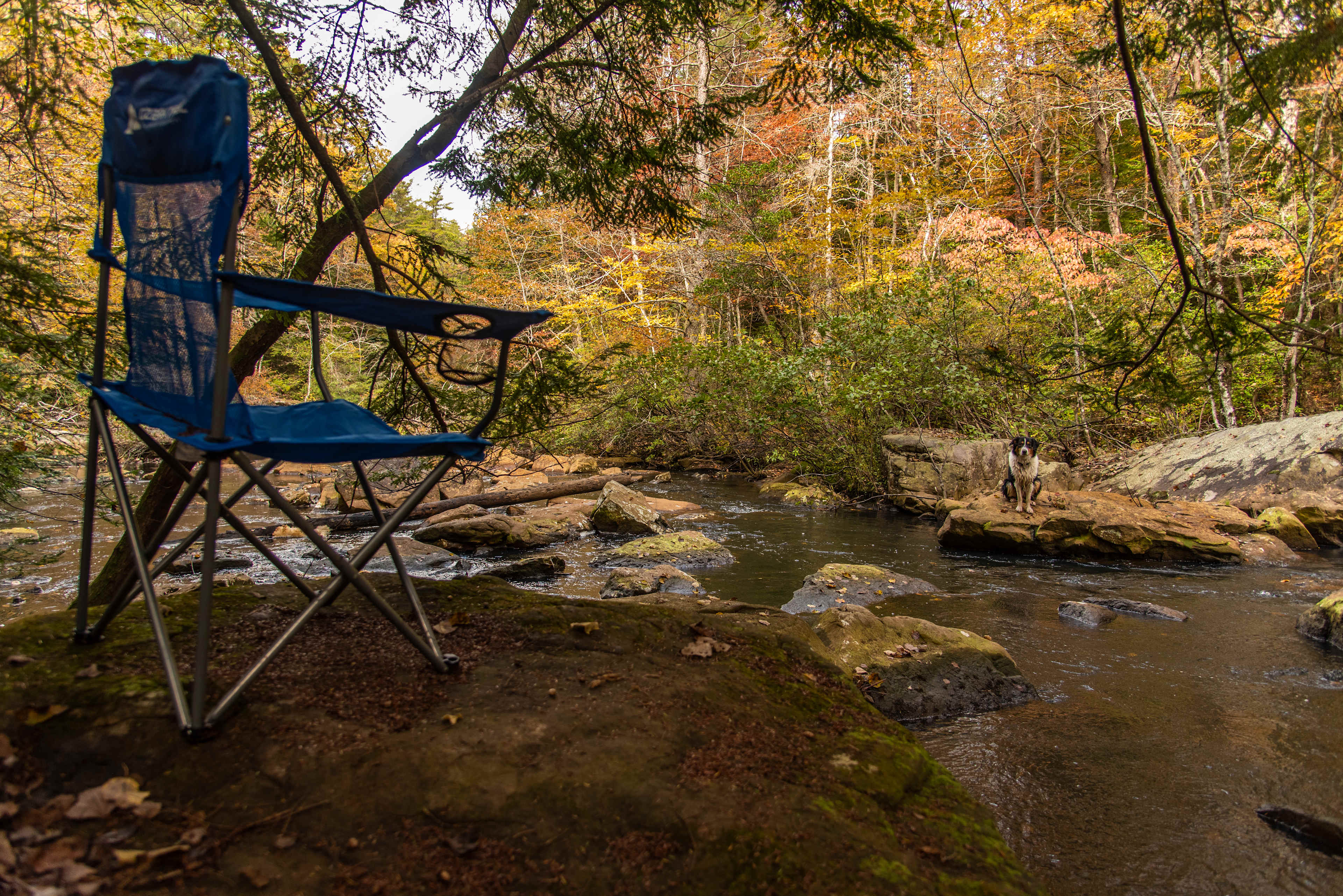 Hammock’Sway Private Off Grid Camp