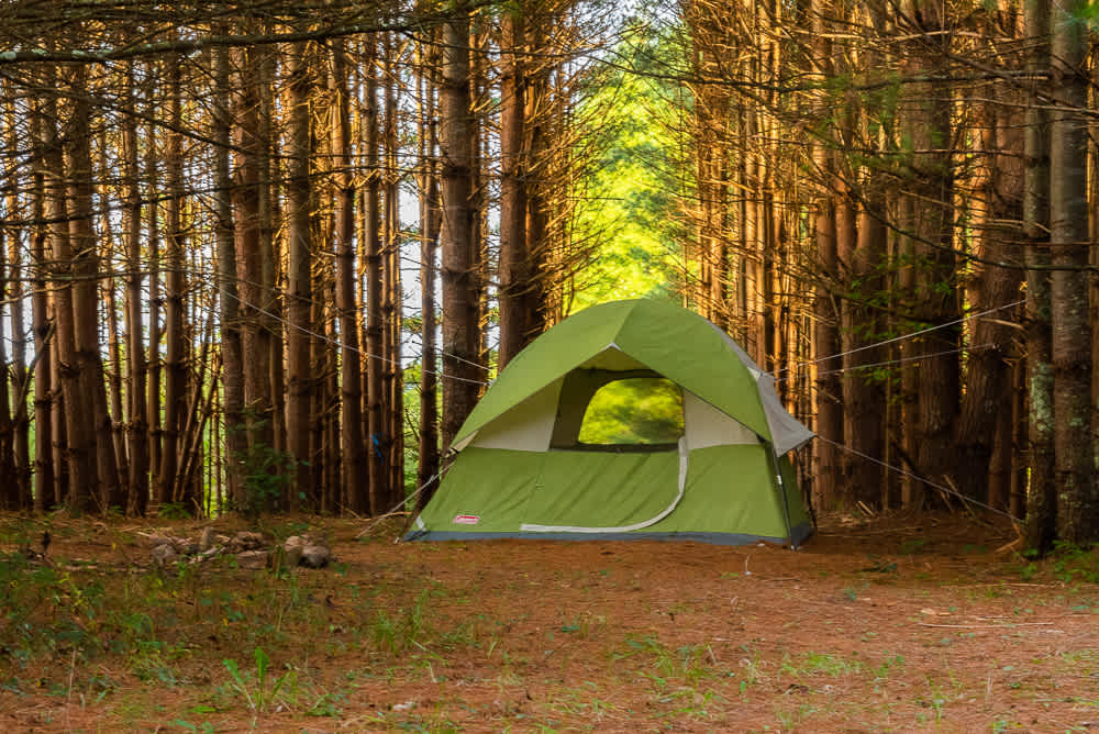 Hammock’Sway Private Off Grid Camp