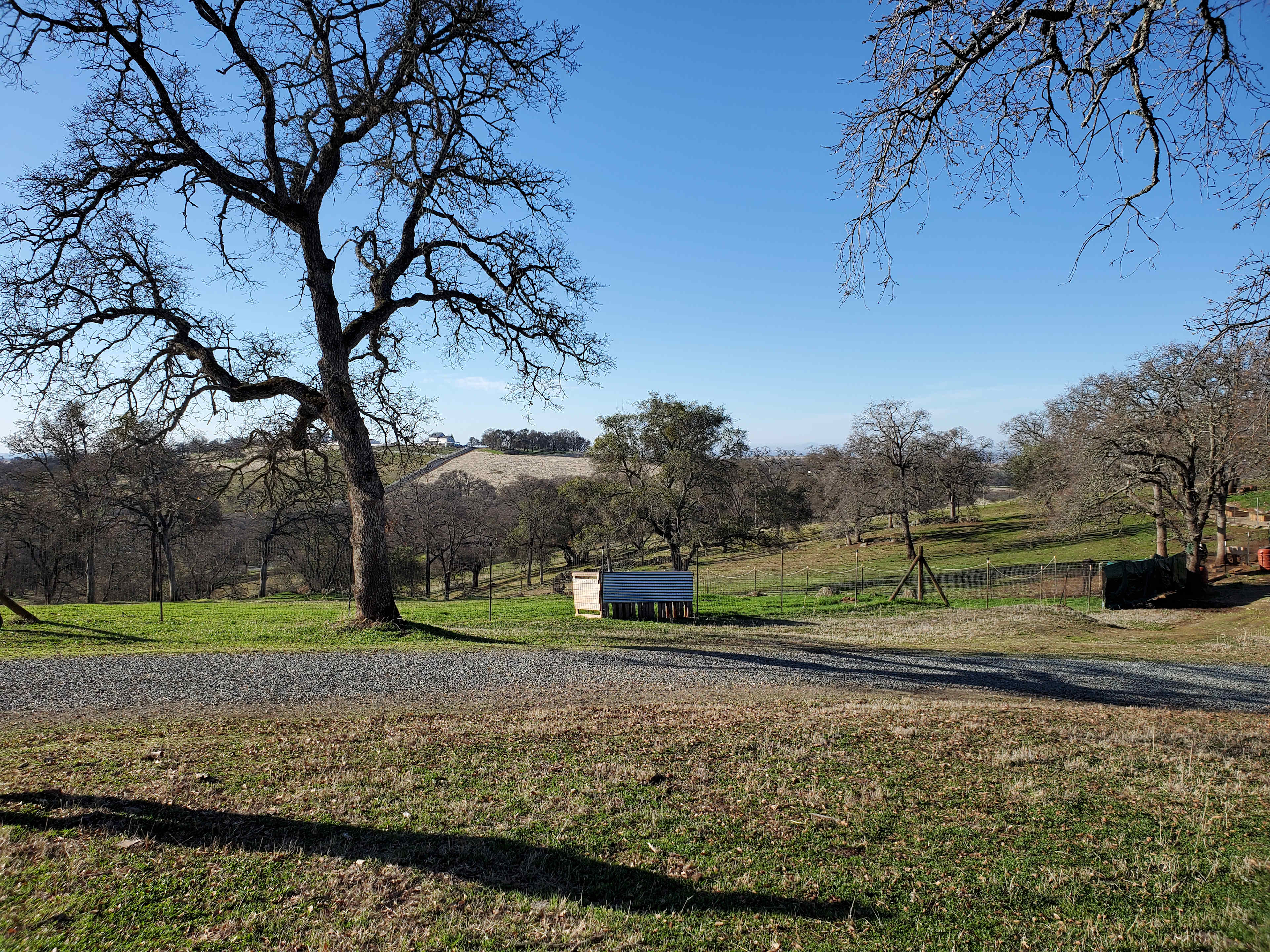 Bella Branch at SE Ranch