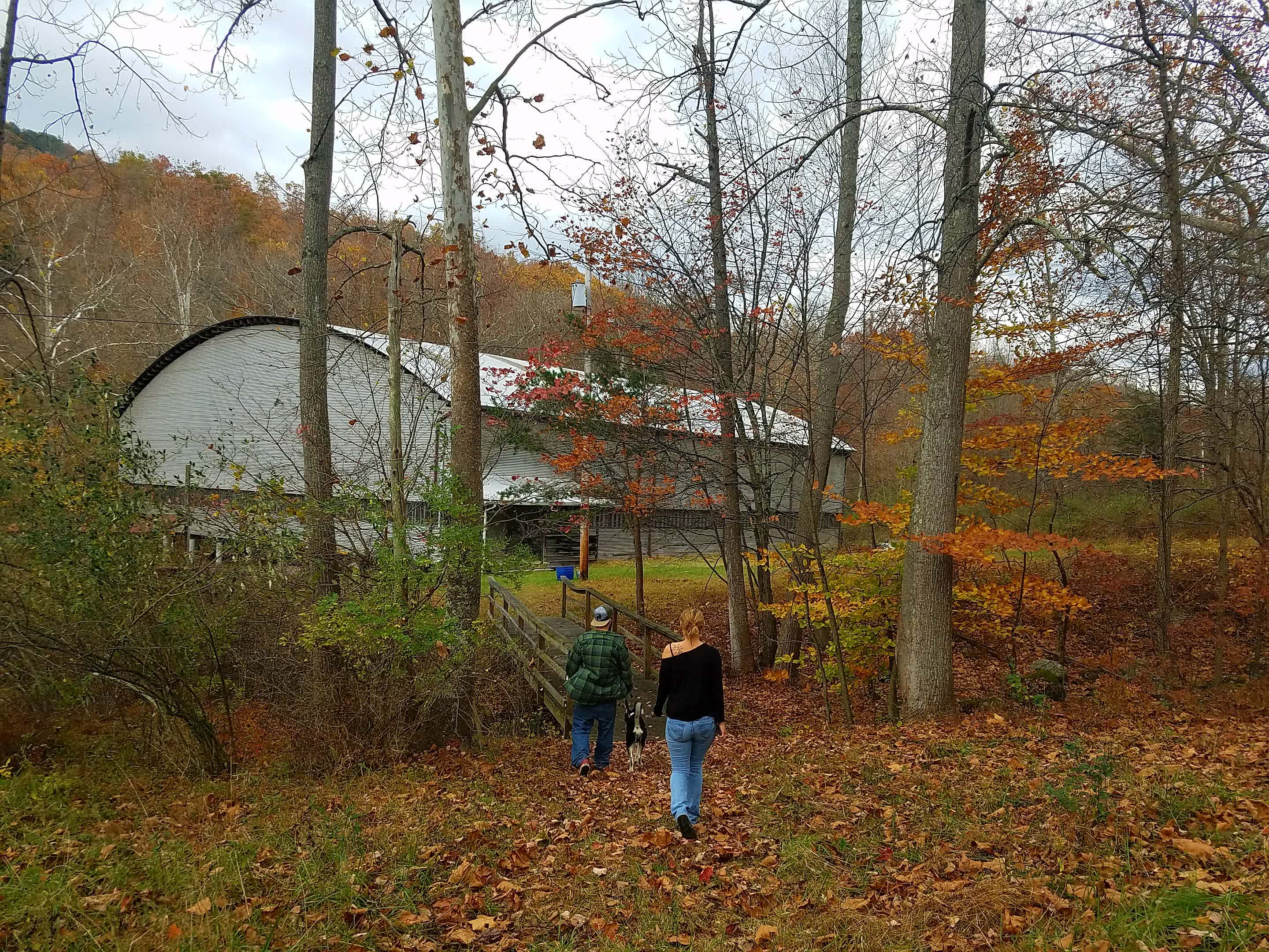 Picture of the site