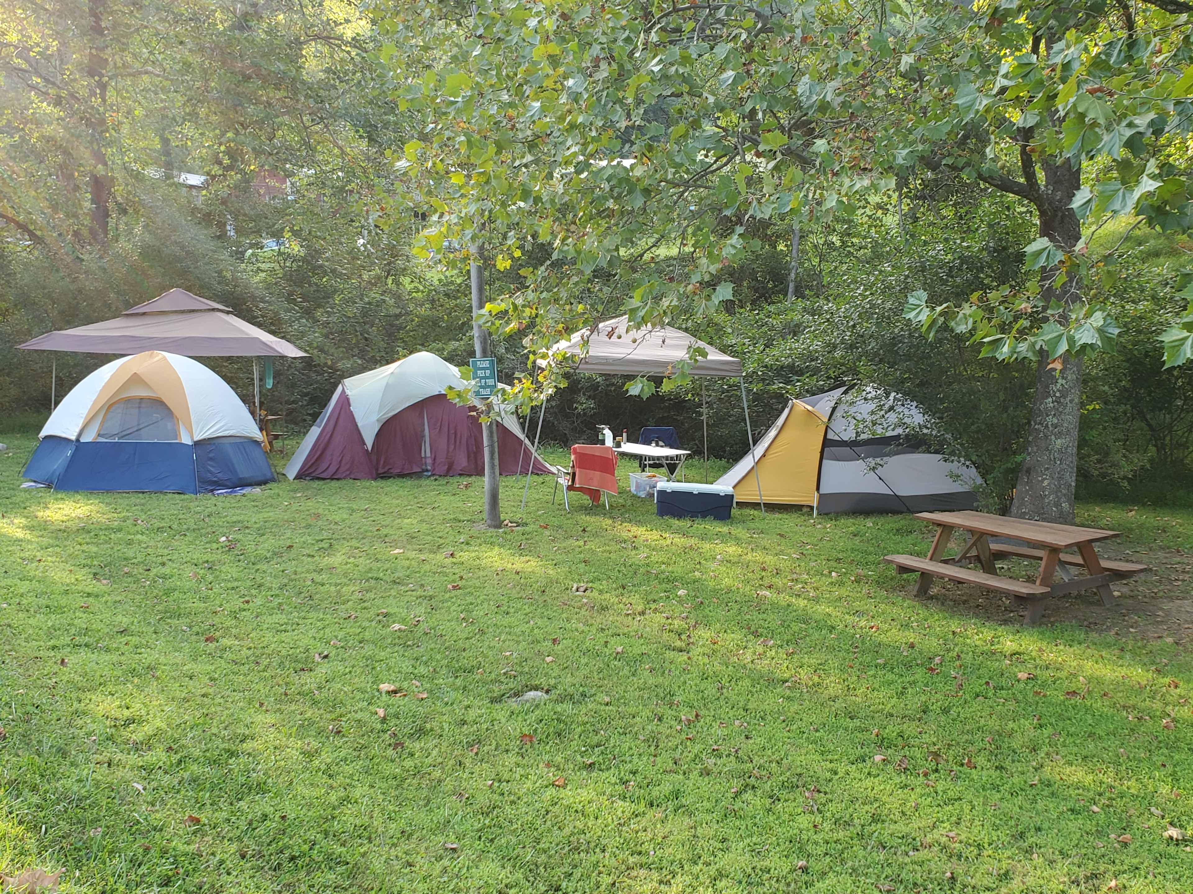 Picture of the site