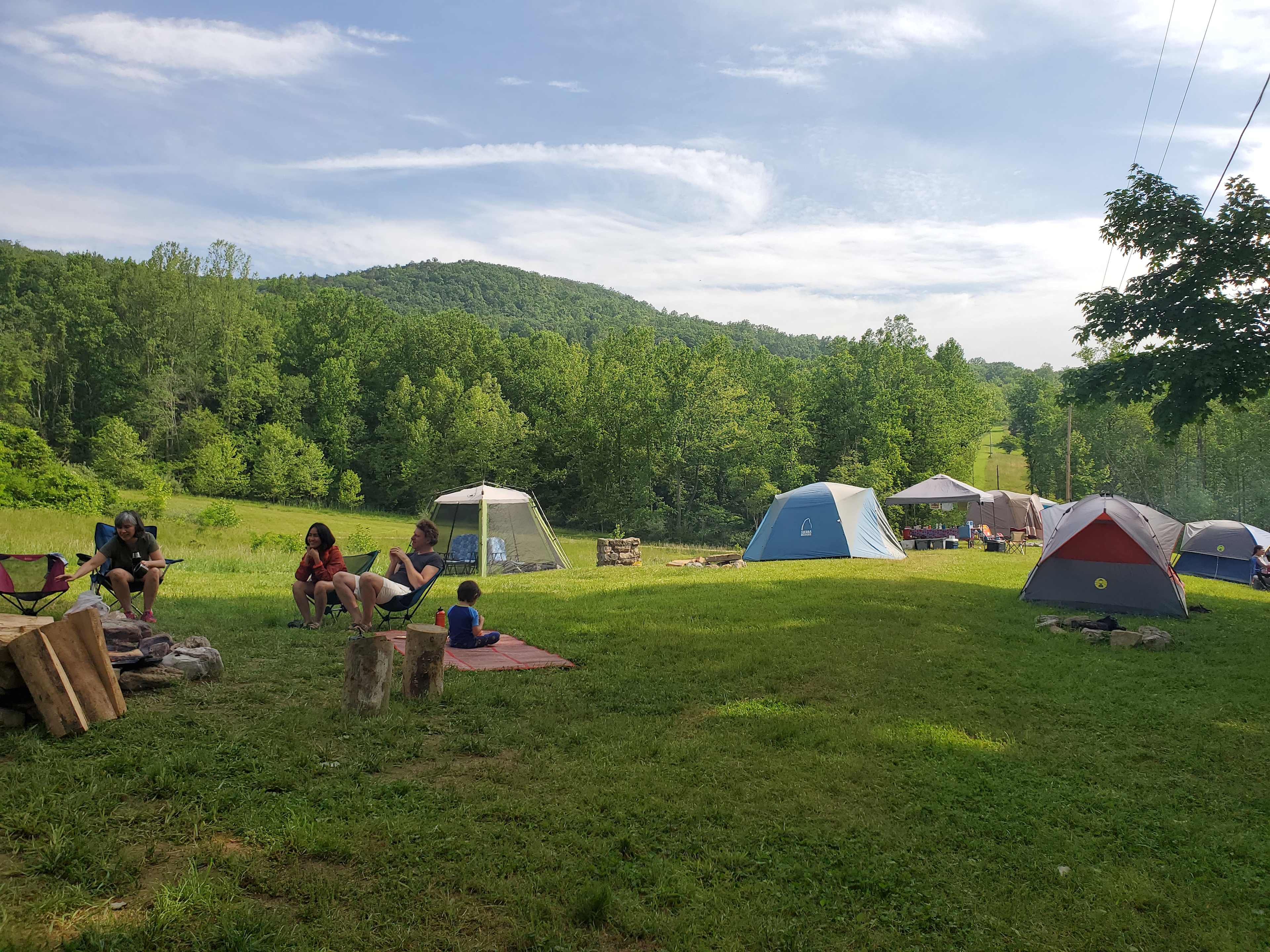 Picture of the site