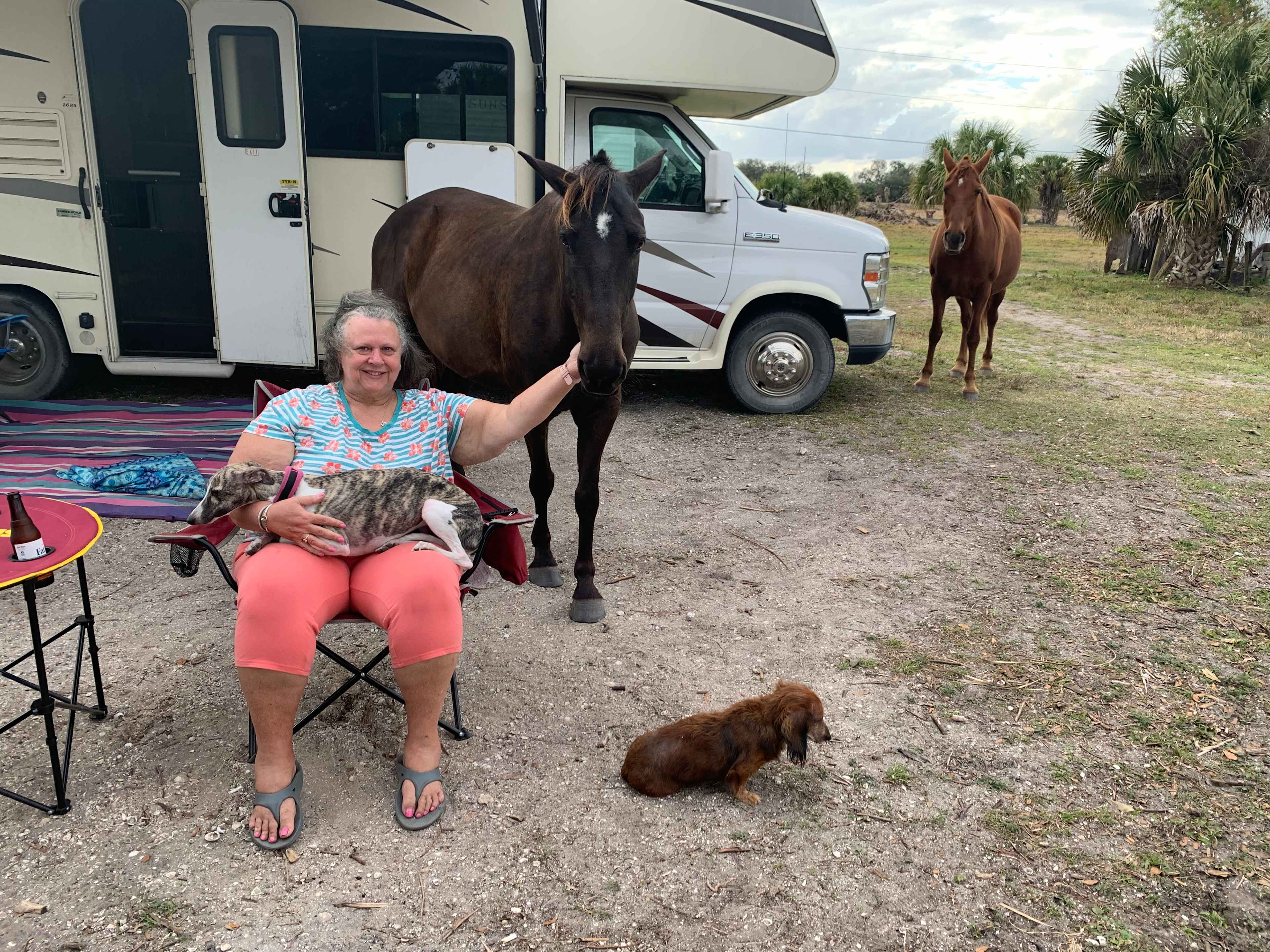Blue Fox Ranch: Lake & Farm Camp