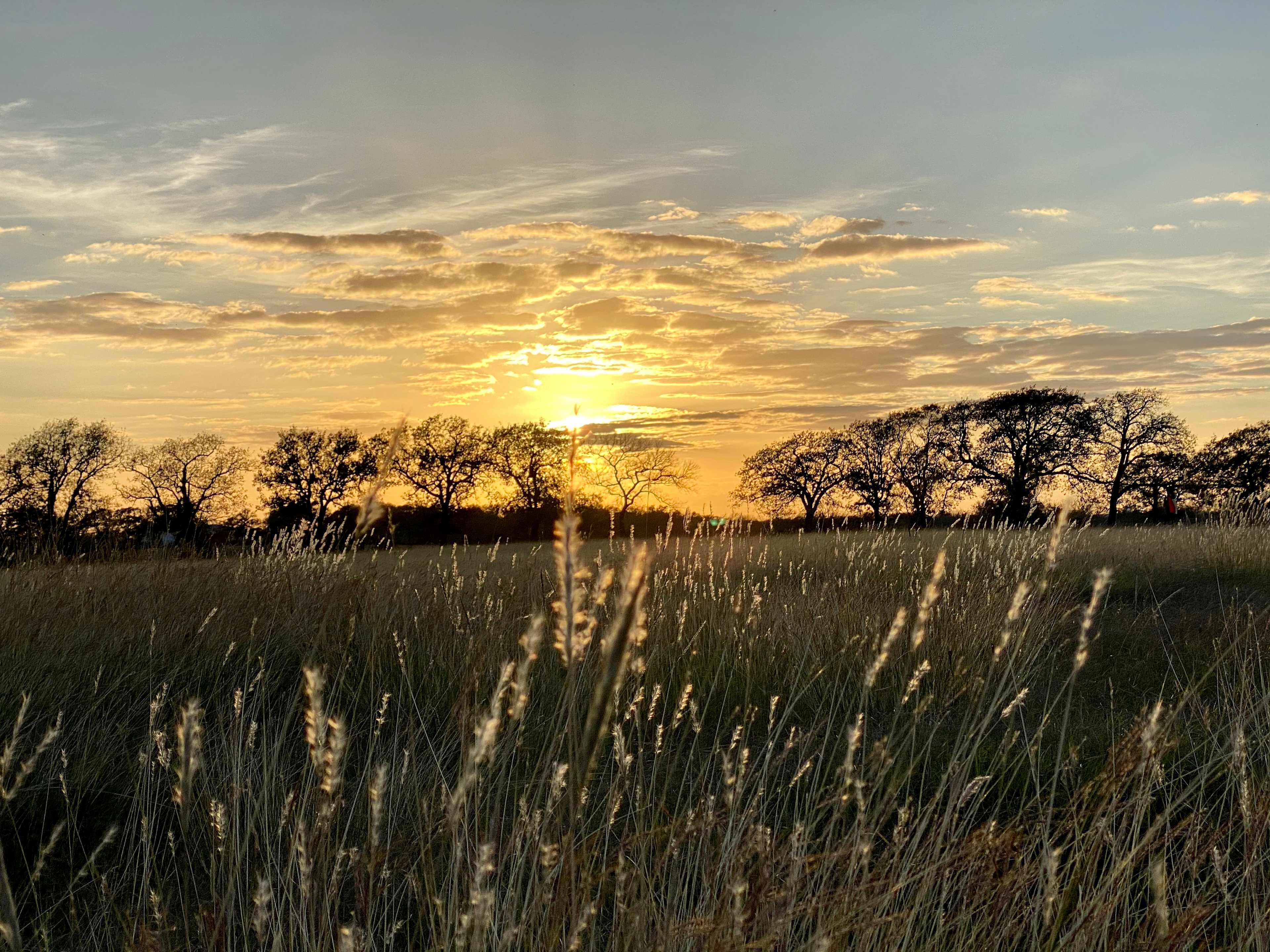 Coyote Creek Farm