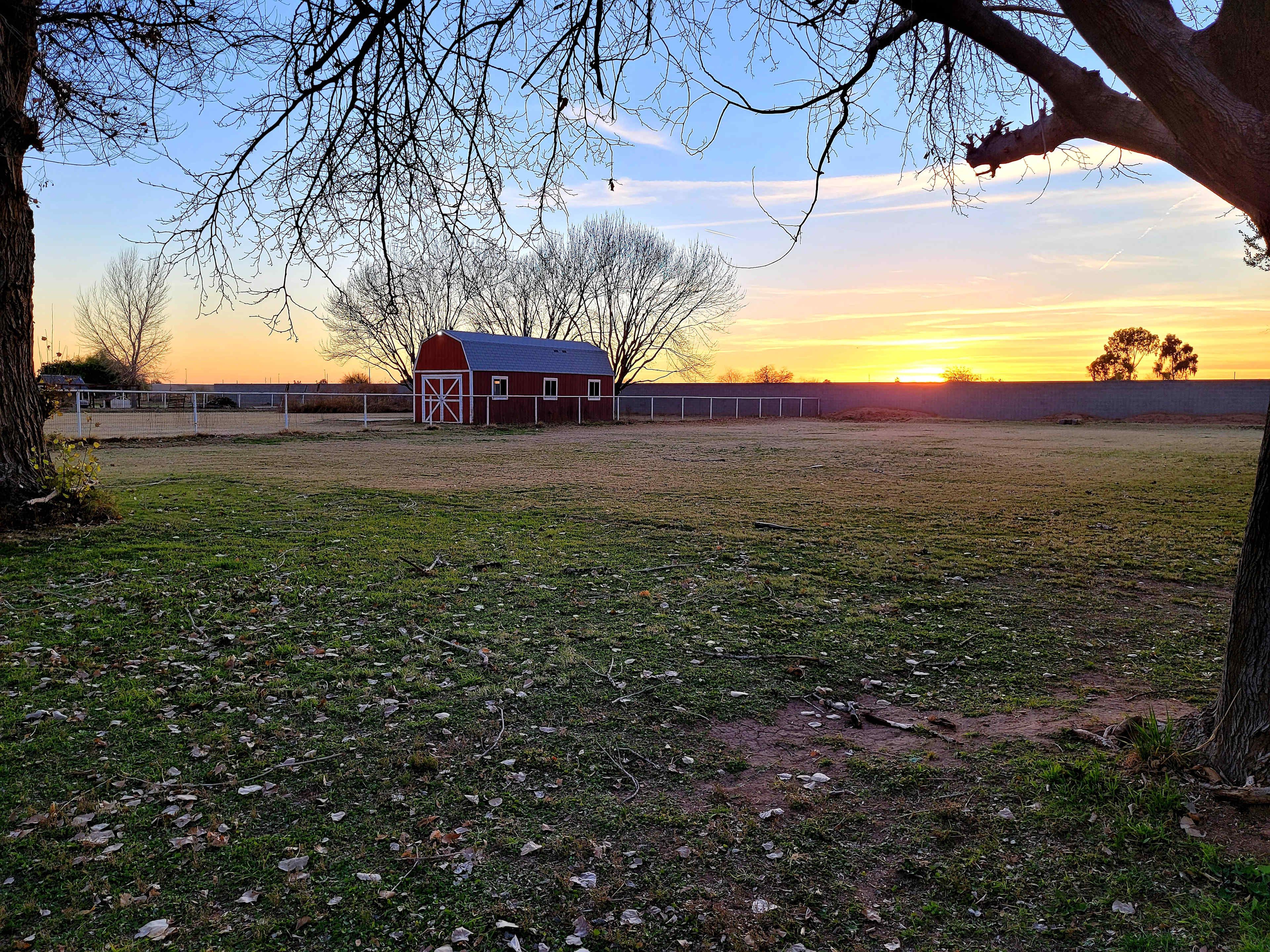 Suburban Pasture
