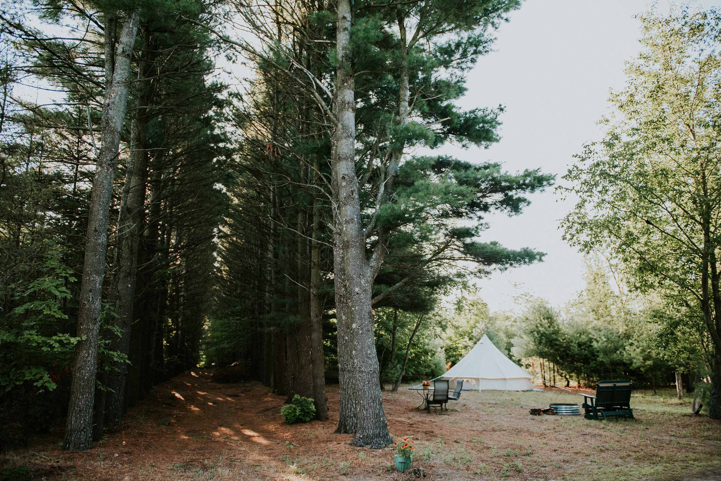 Picture of the site