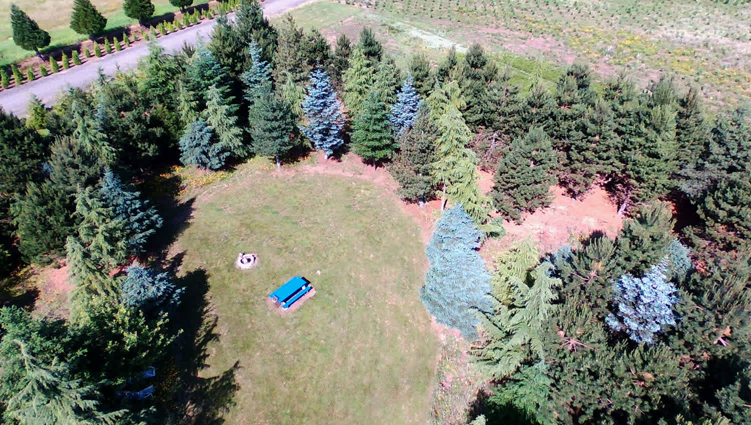 The Arboretum at Bear Canyon West