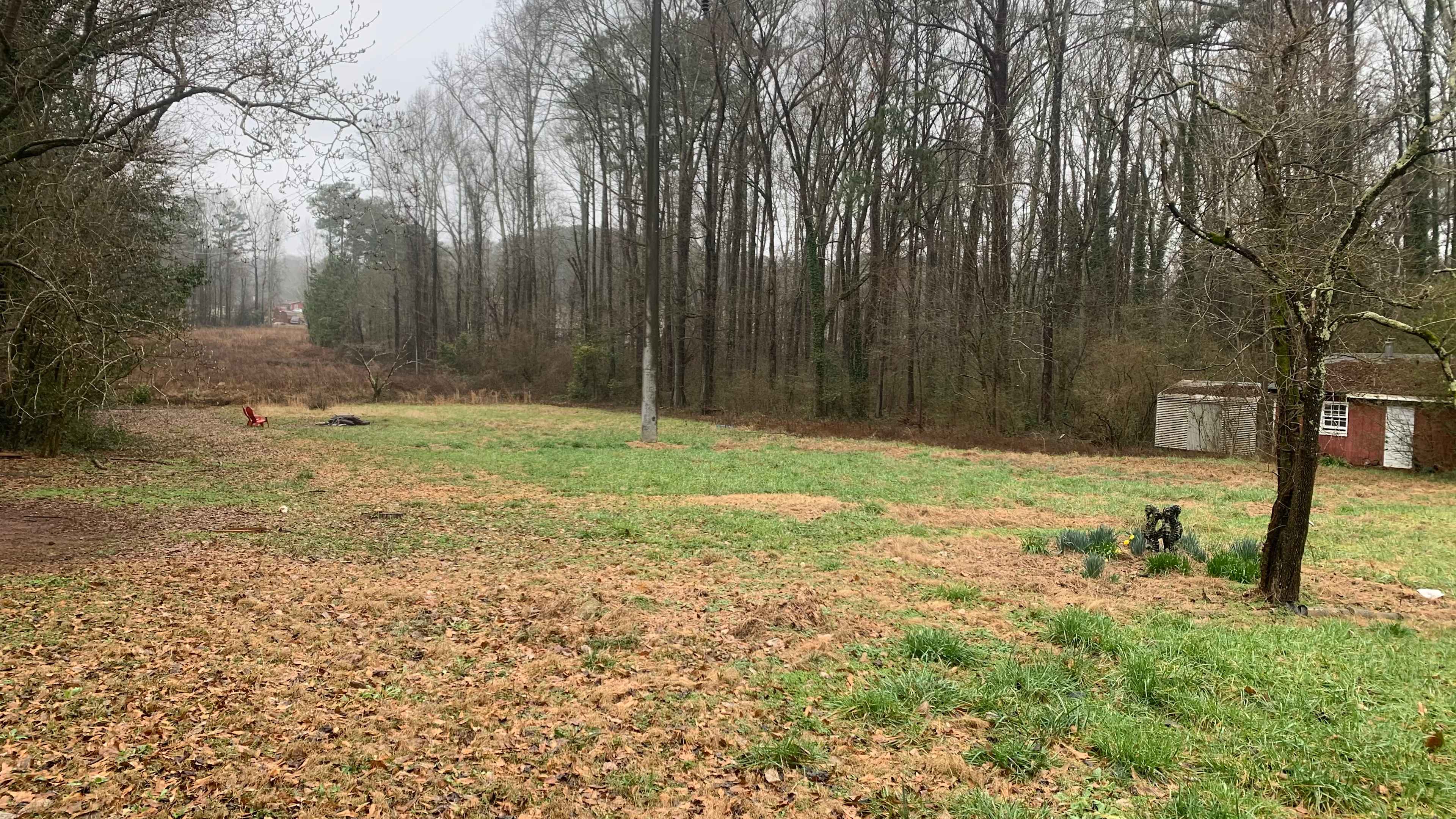 Urban Forest Camp Ground