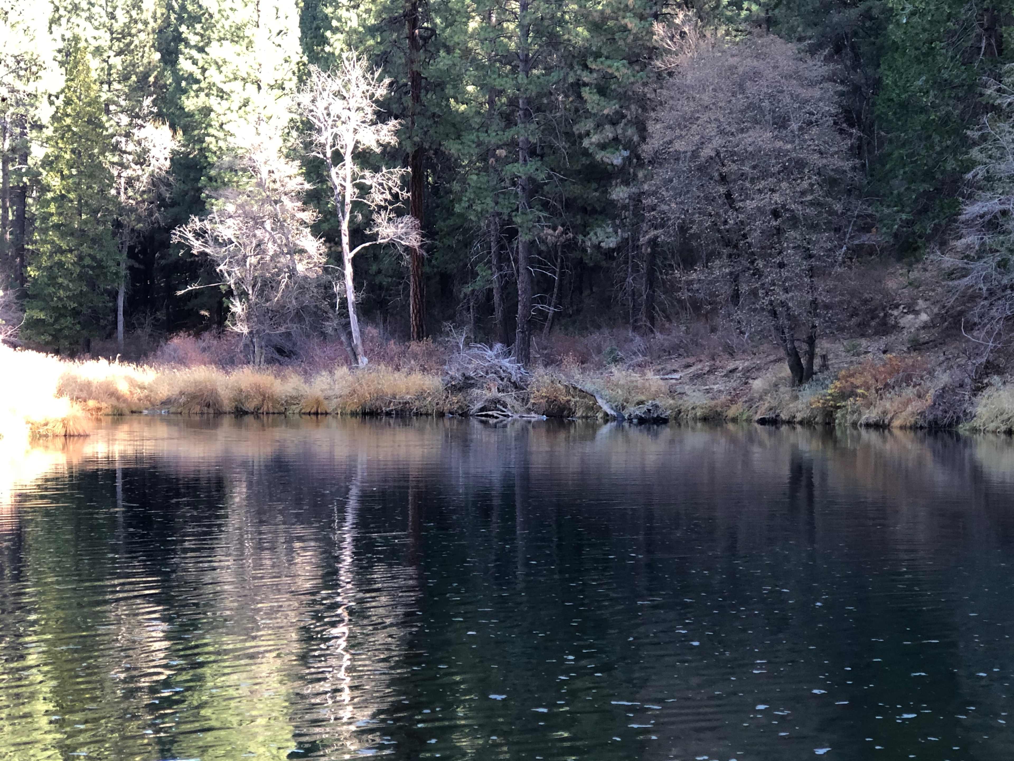 Camp Becausewecan