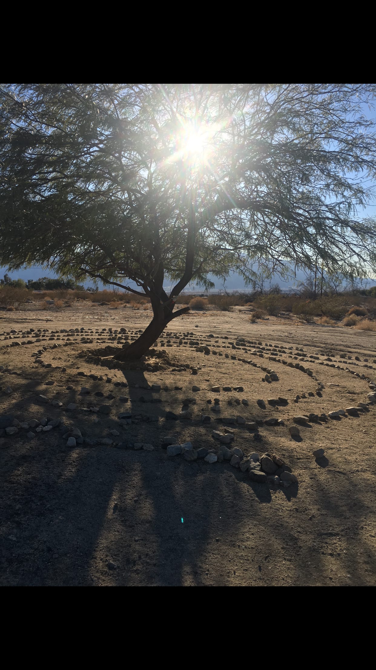 Walking labyrinth 
