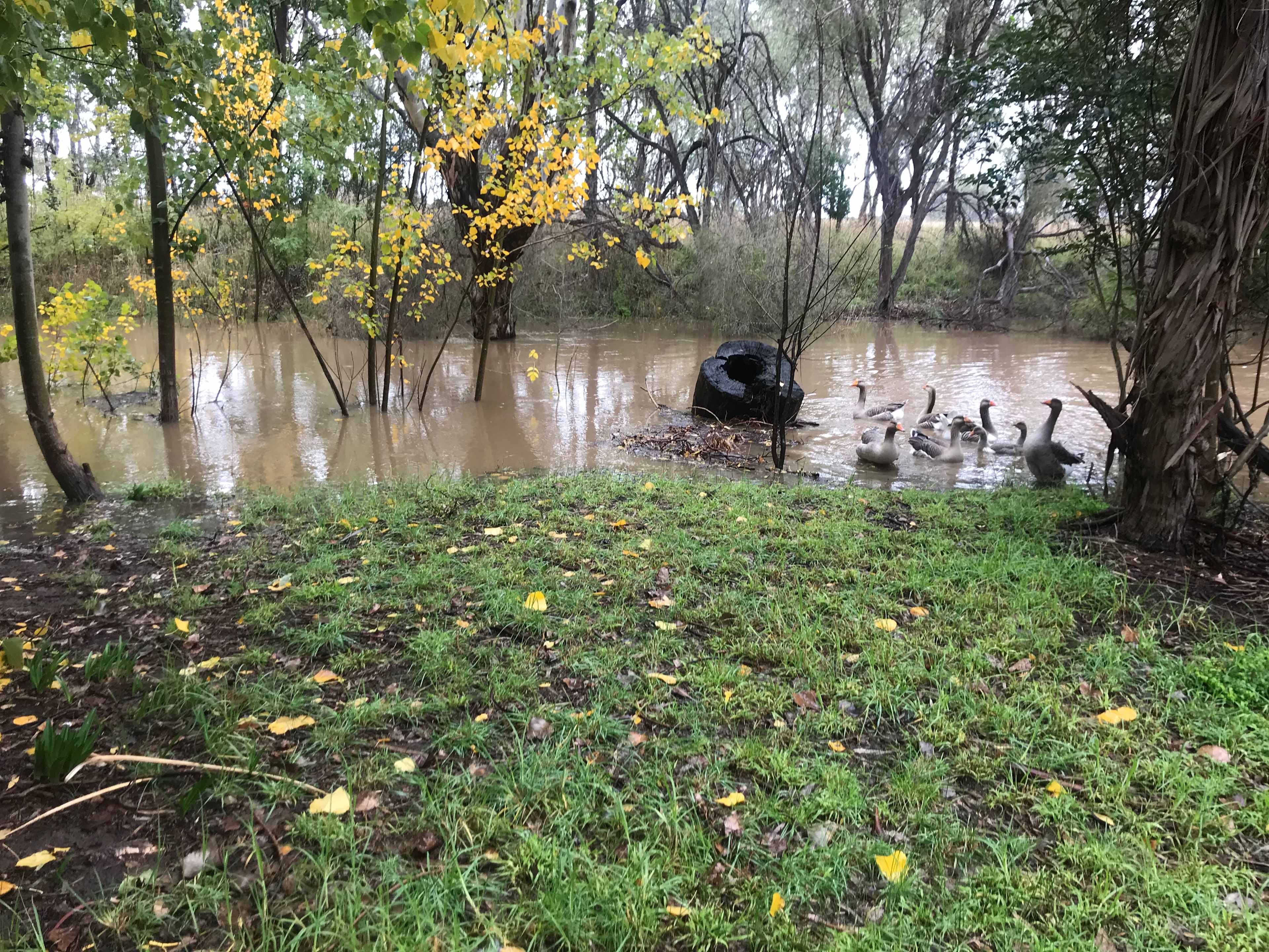 In flood
