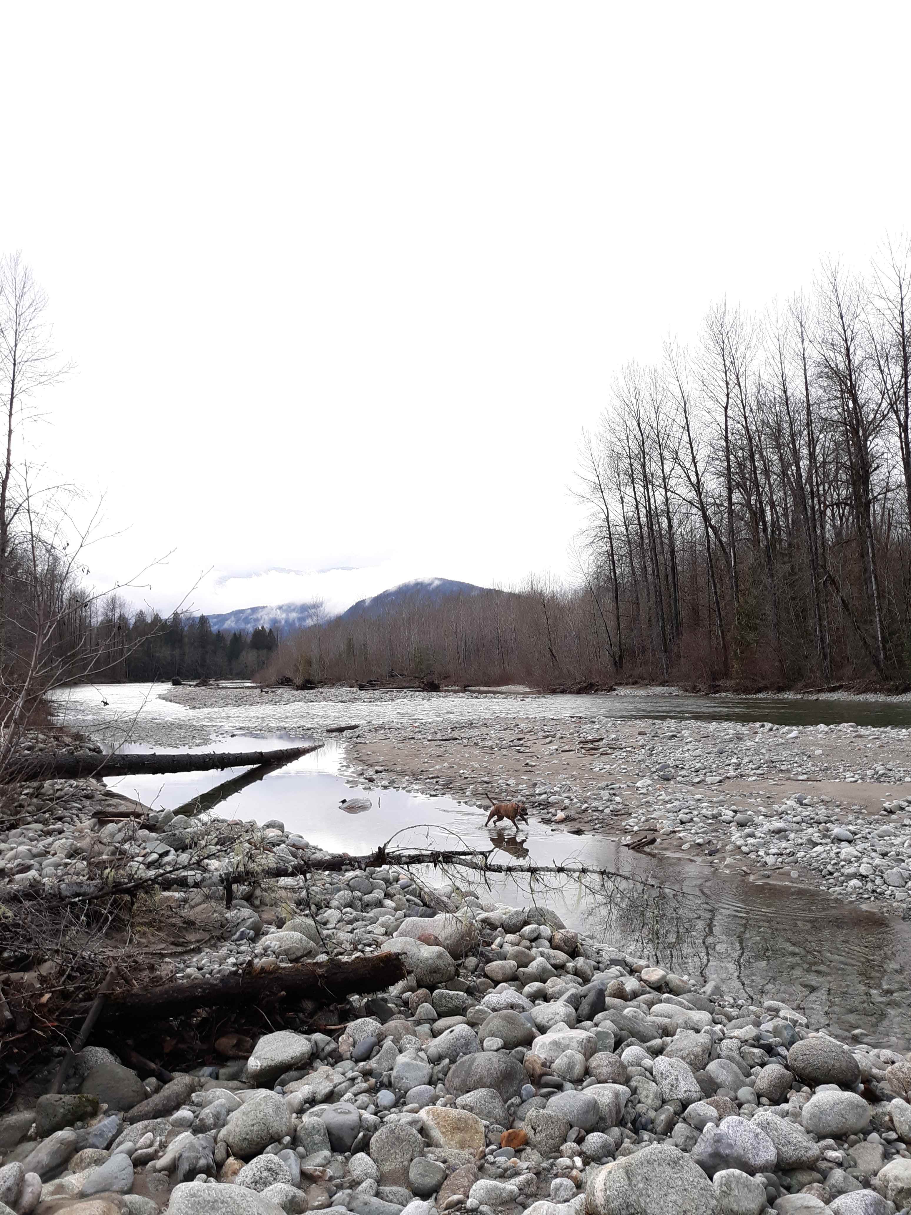This is the Cascade River, only a quick walk from the campground.