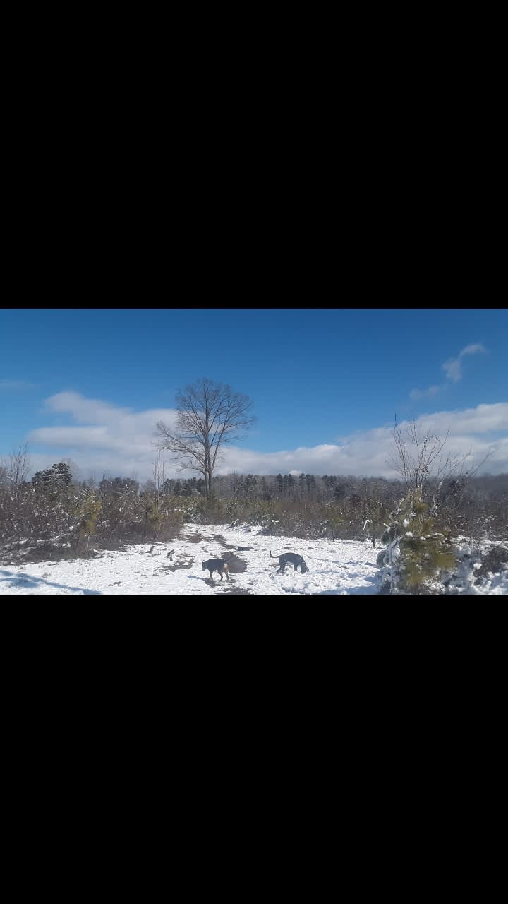 Primitive Farm Camping