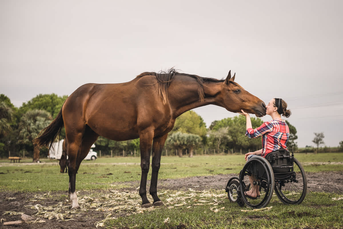 All the broodmares are so friendly 