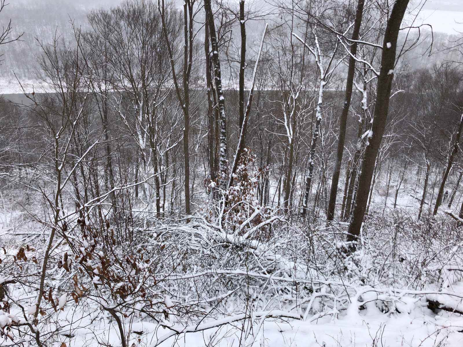 River Hills Above the Allegheny