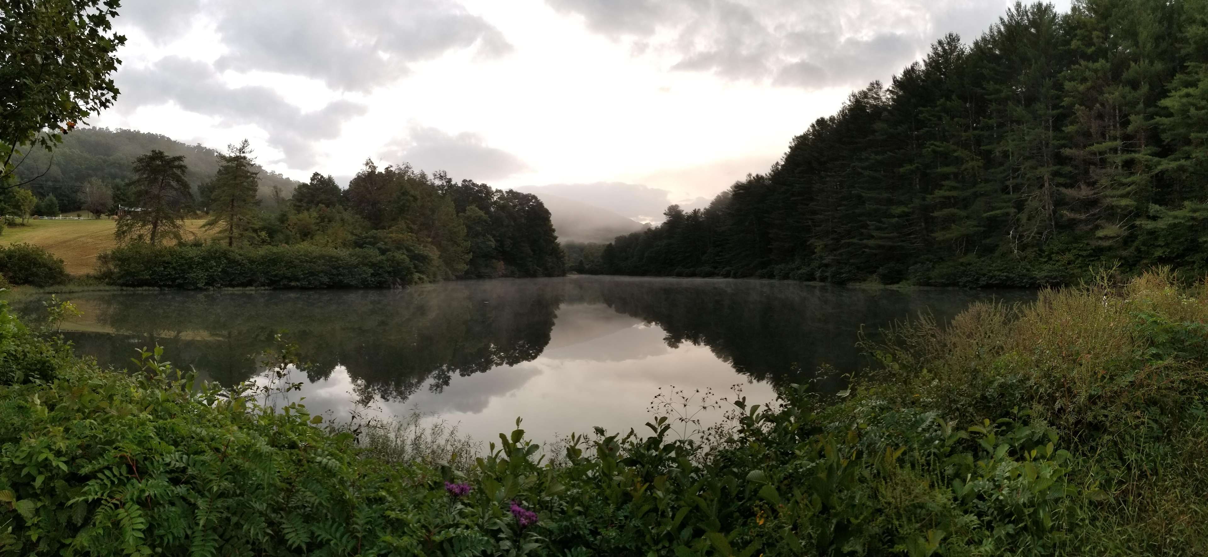 Cannon Lake Private Woodland