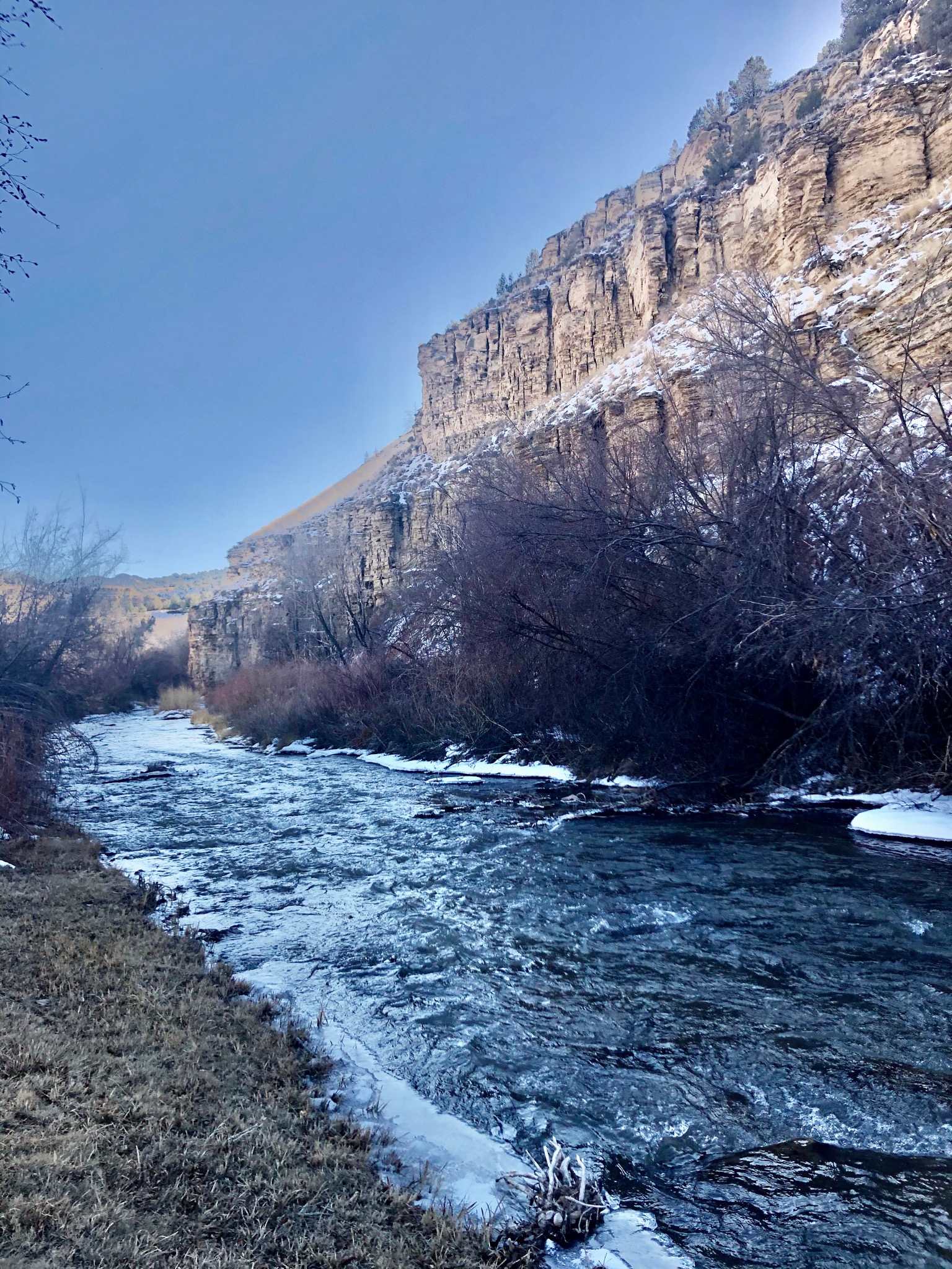 Your view right in front of your tent site. 