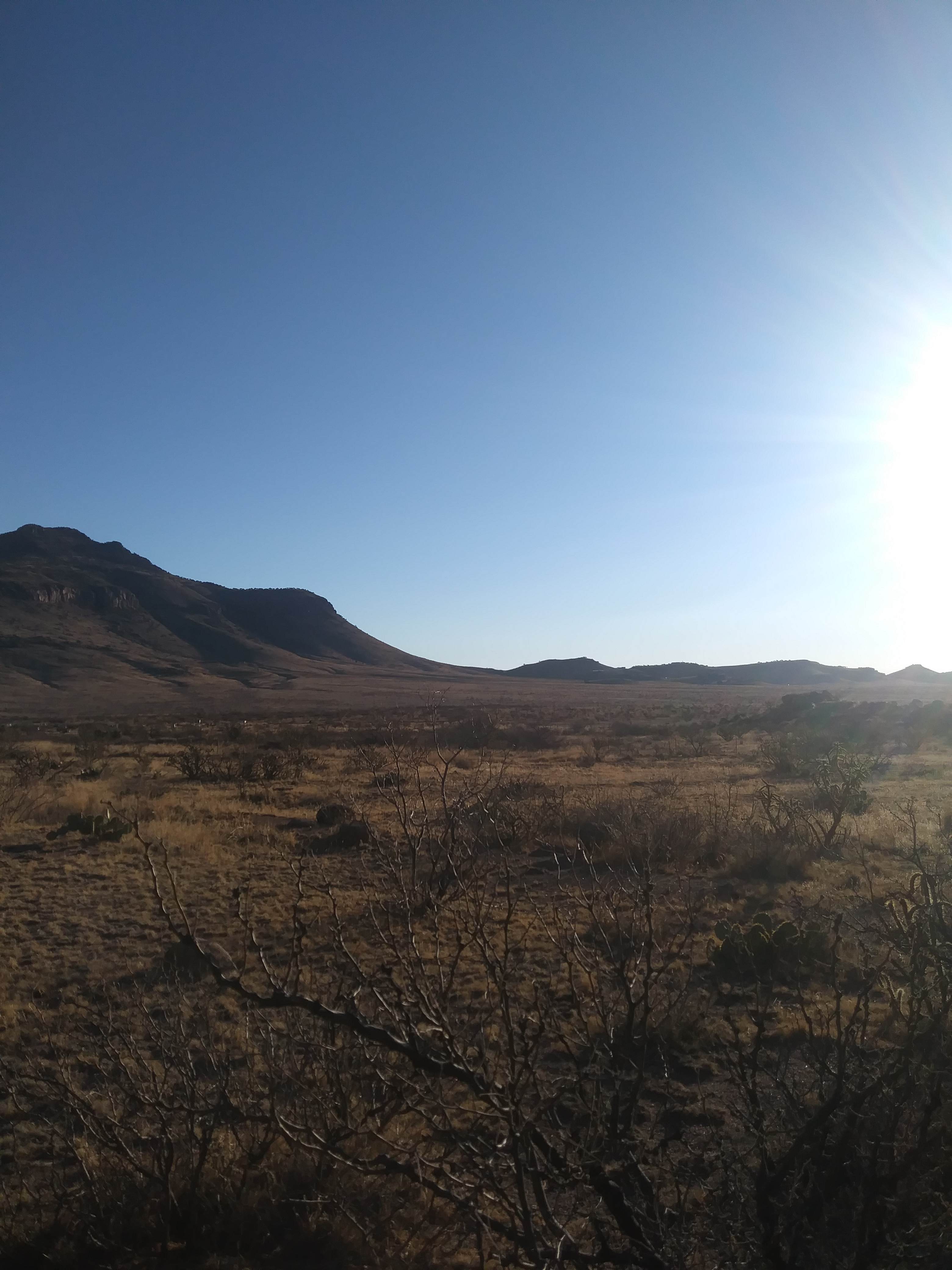 Roy L.’s Land
