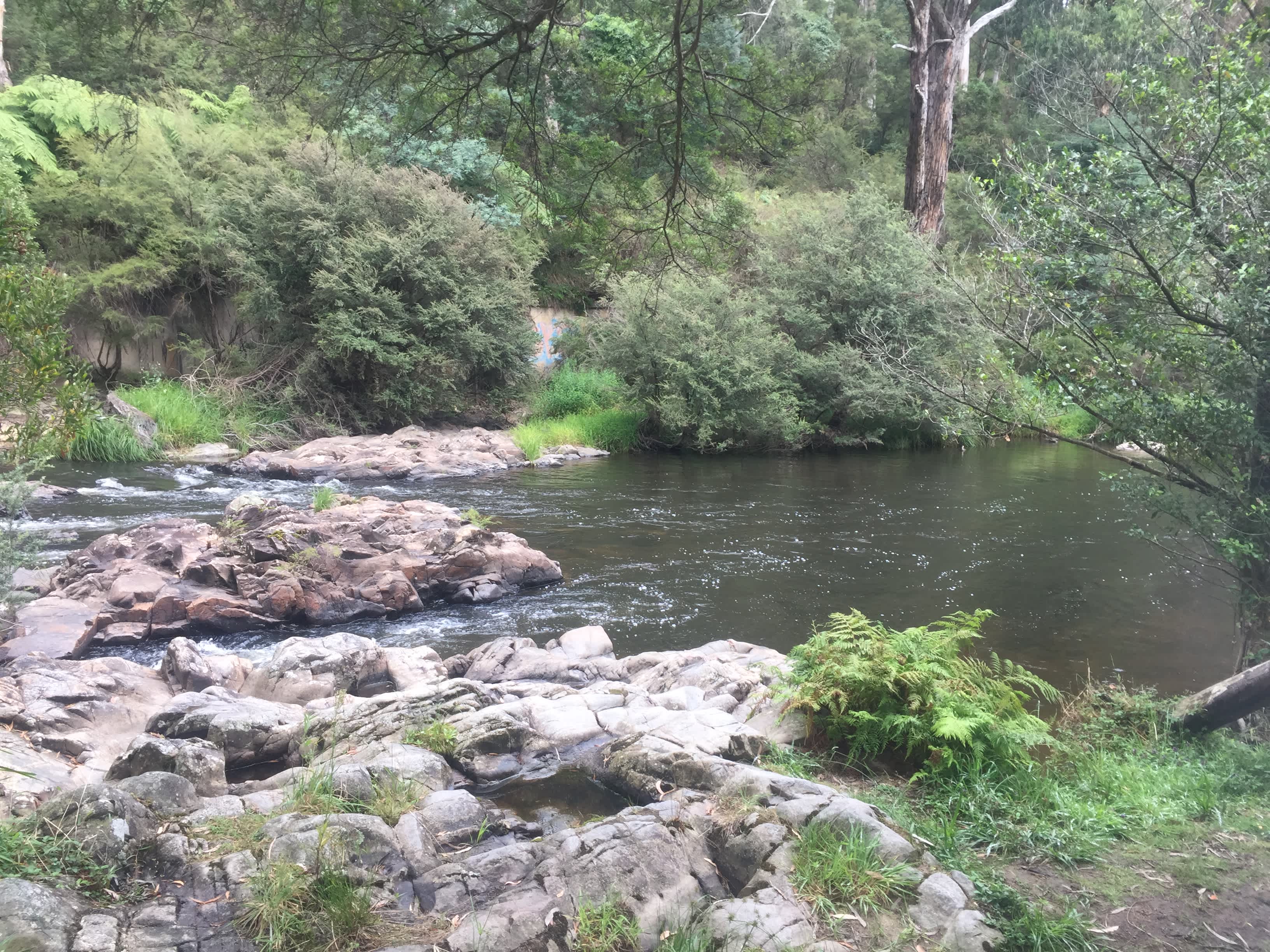 River directly across the road from site.