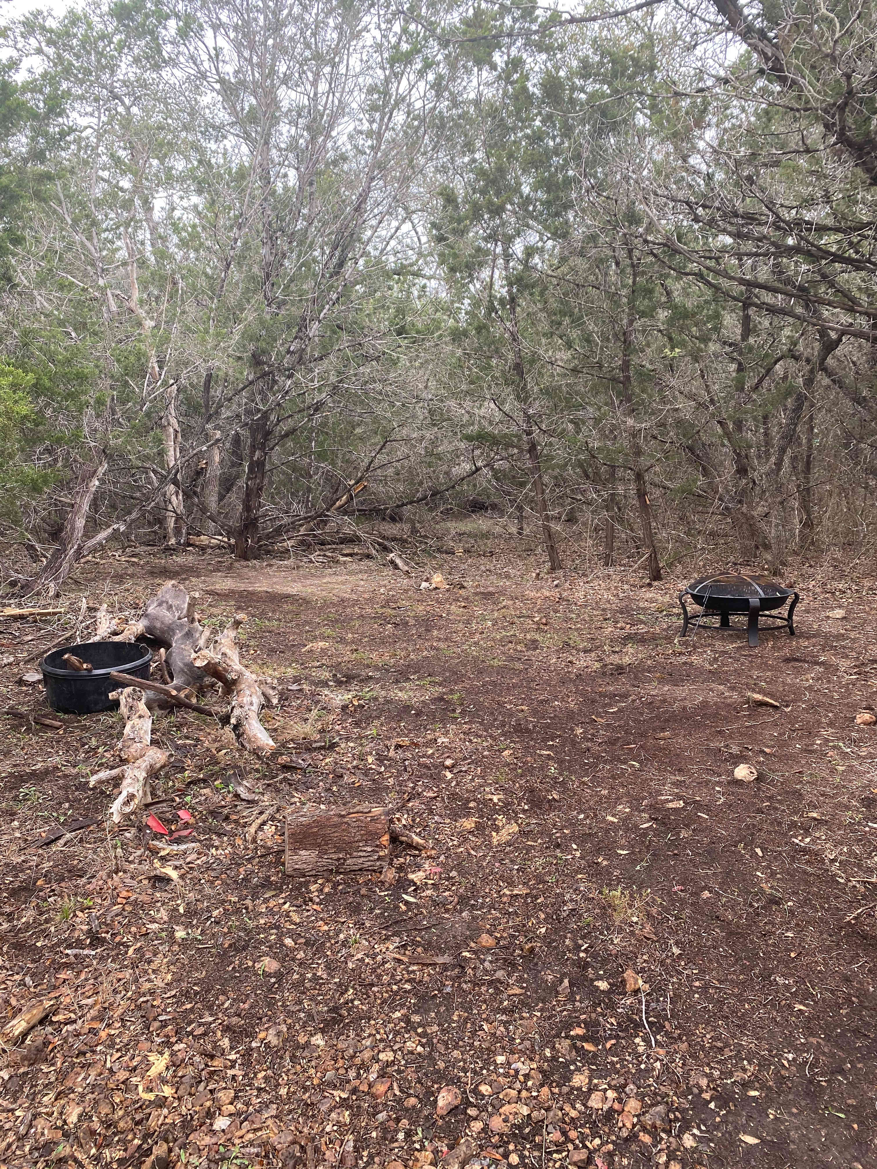 Campsite, seating log, fire pit
