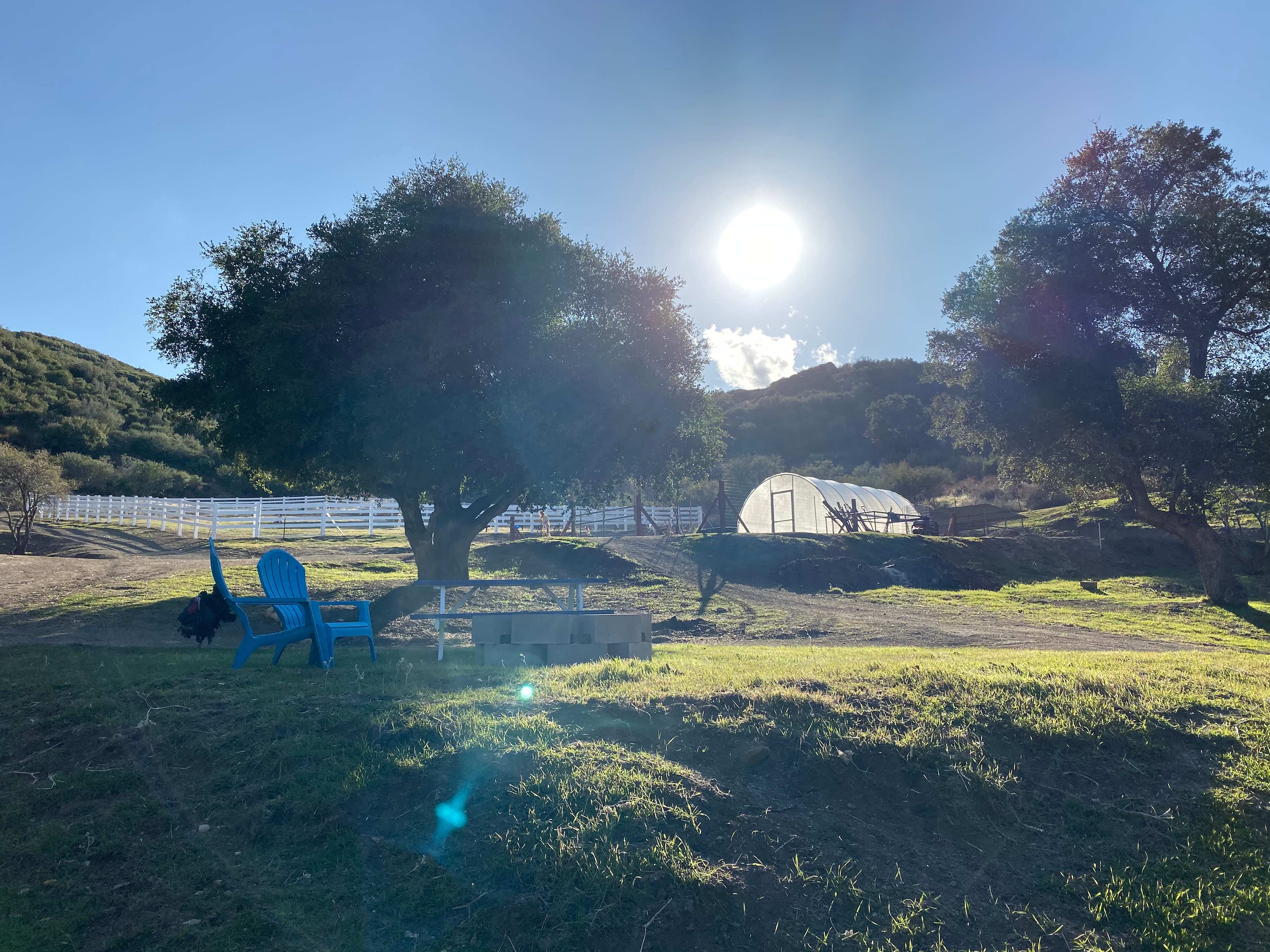 Picture of the site