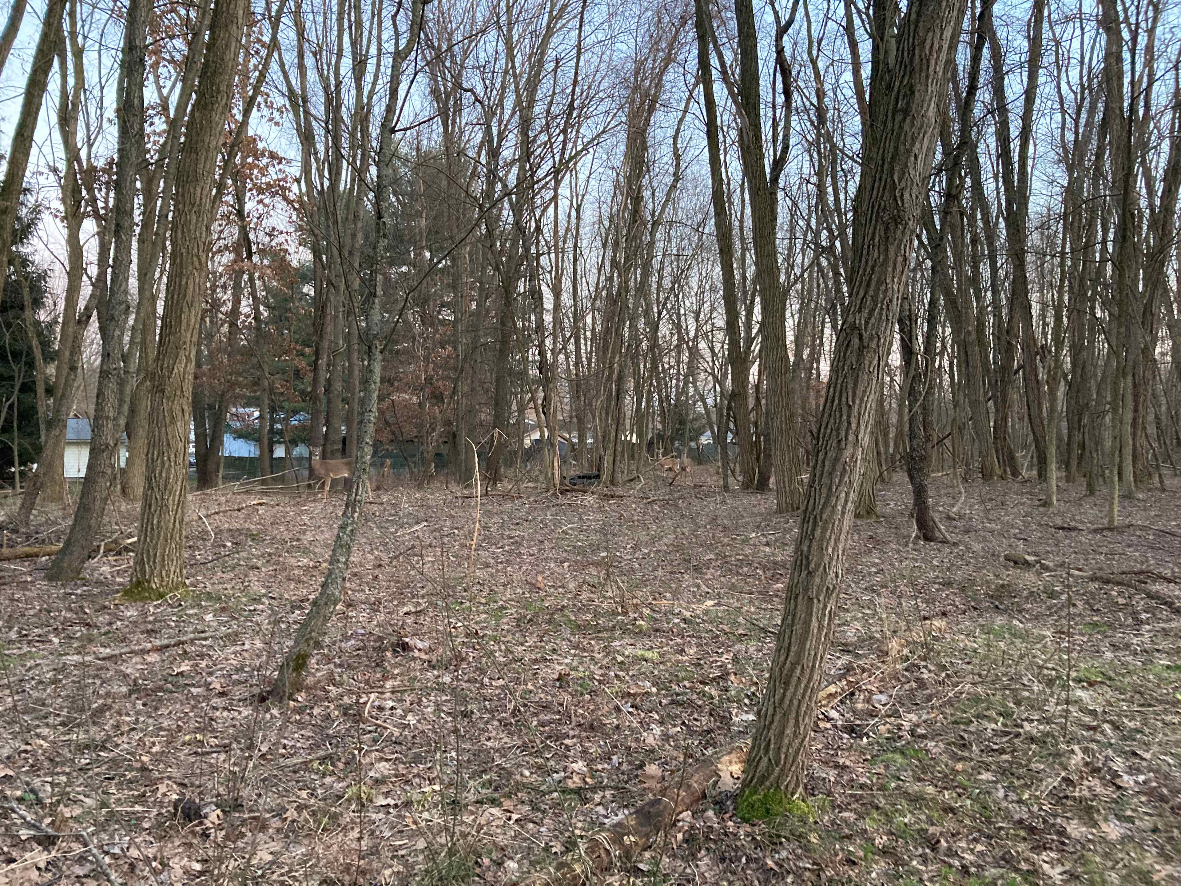 Camp near the Portage Lakes