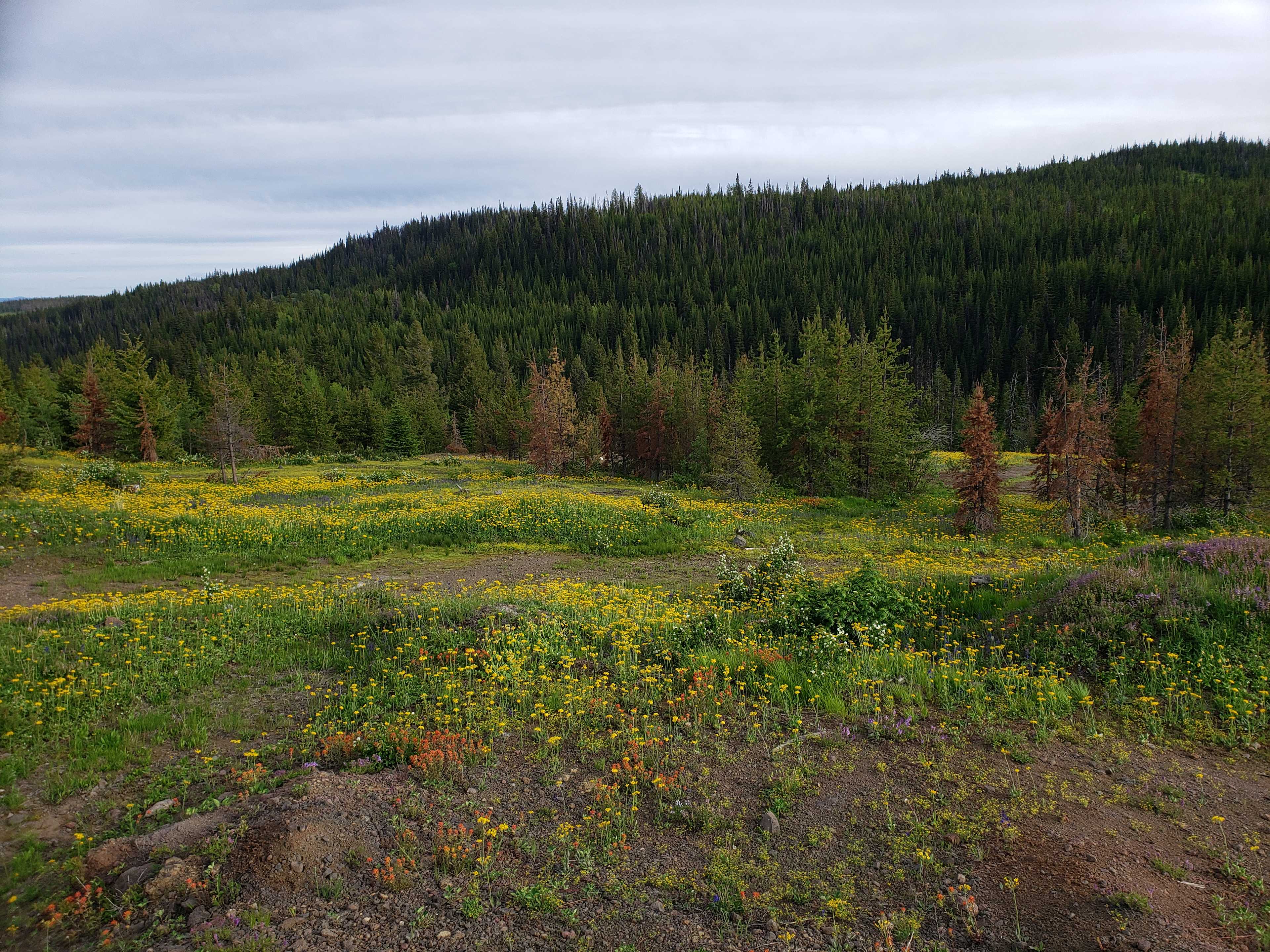 Klinker Opal Property