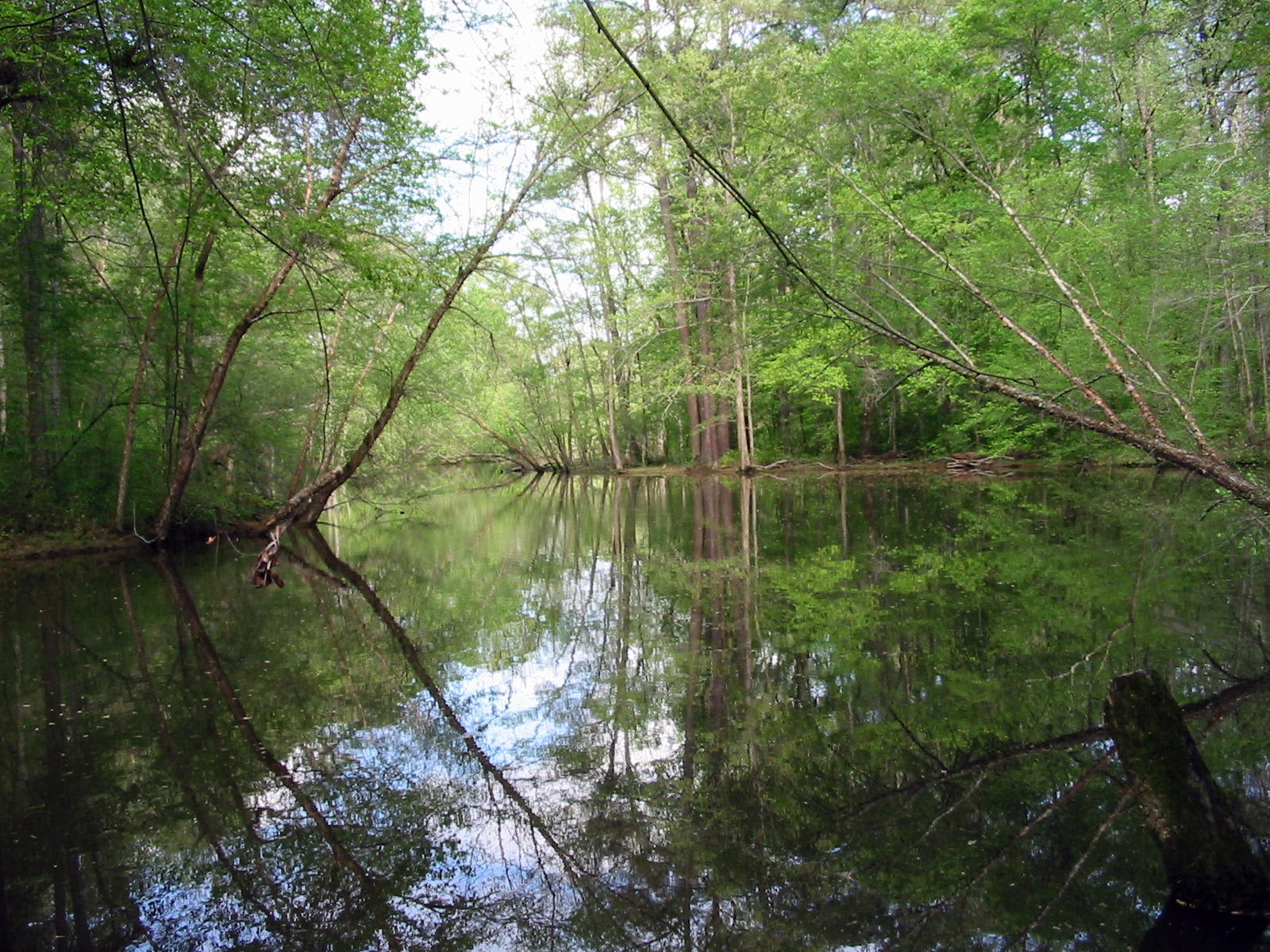 Big Creek RV Park of Saluda SC