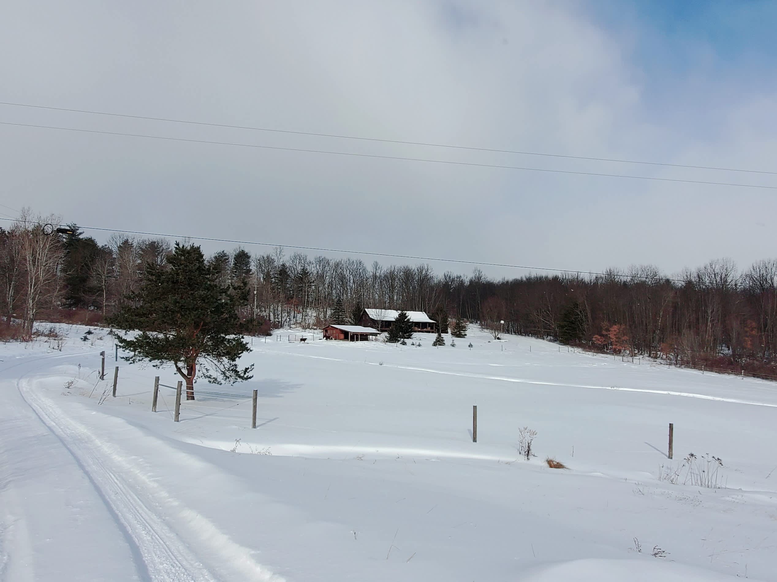 Log Cabin @ Animal Sanctuary w\WiFi