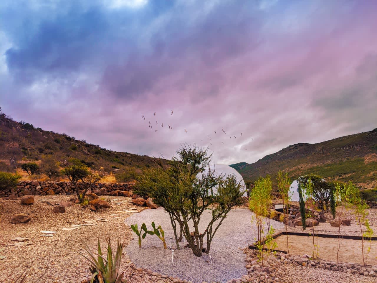 Glamping San Miguel