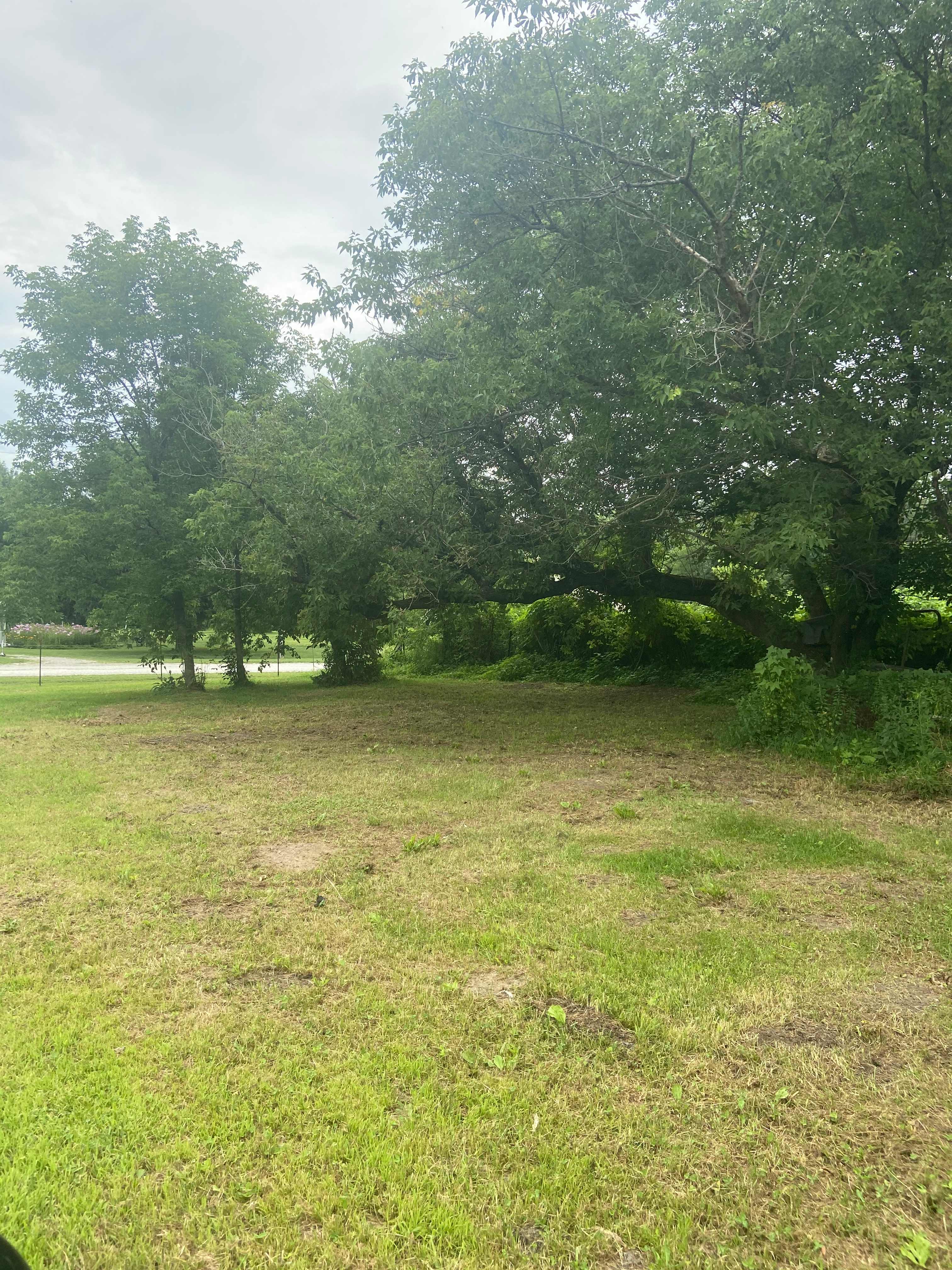 2 city lots in Fillmore MN.