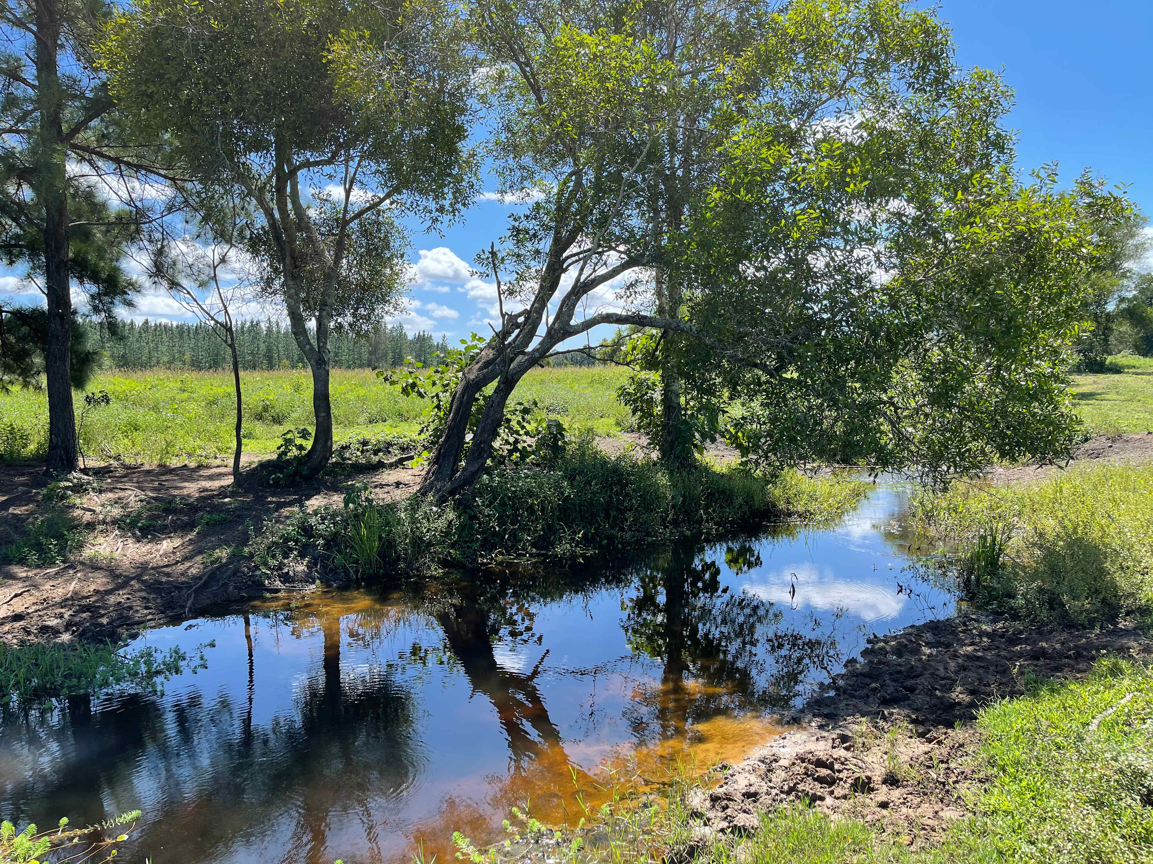 Wild Horse Retreat