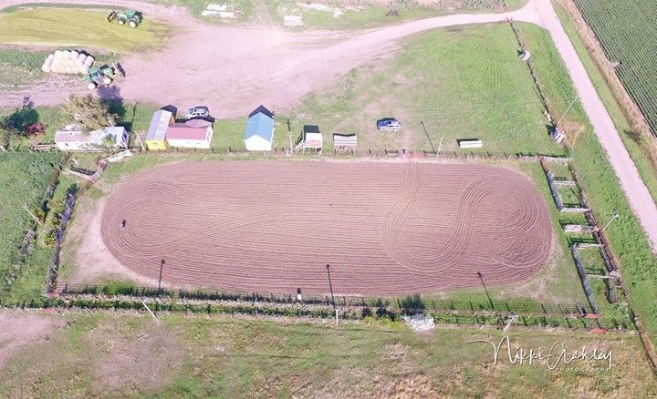 Diamond A Cattle Ranch
