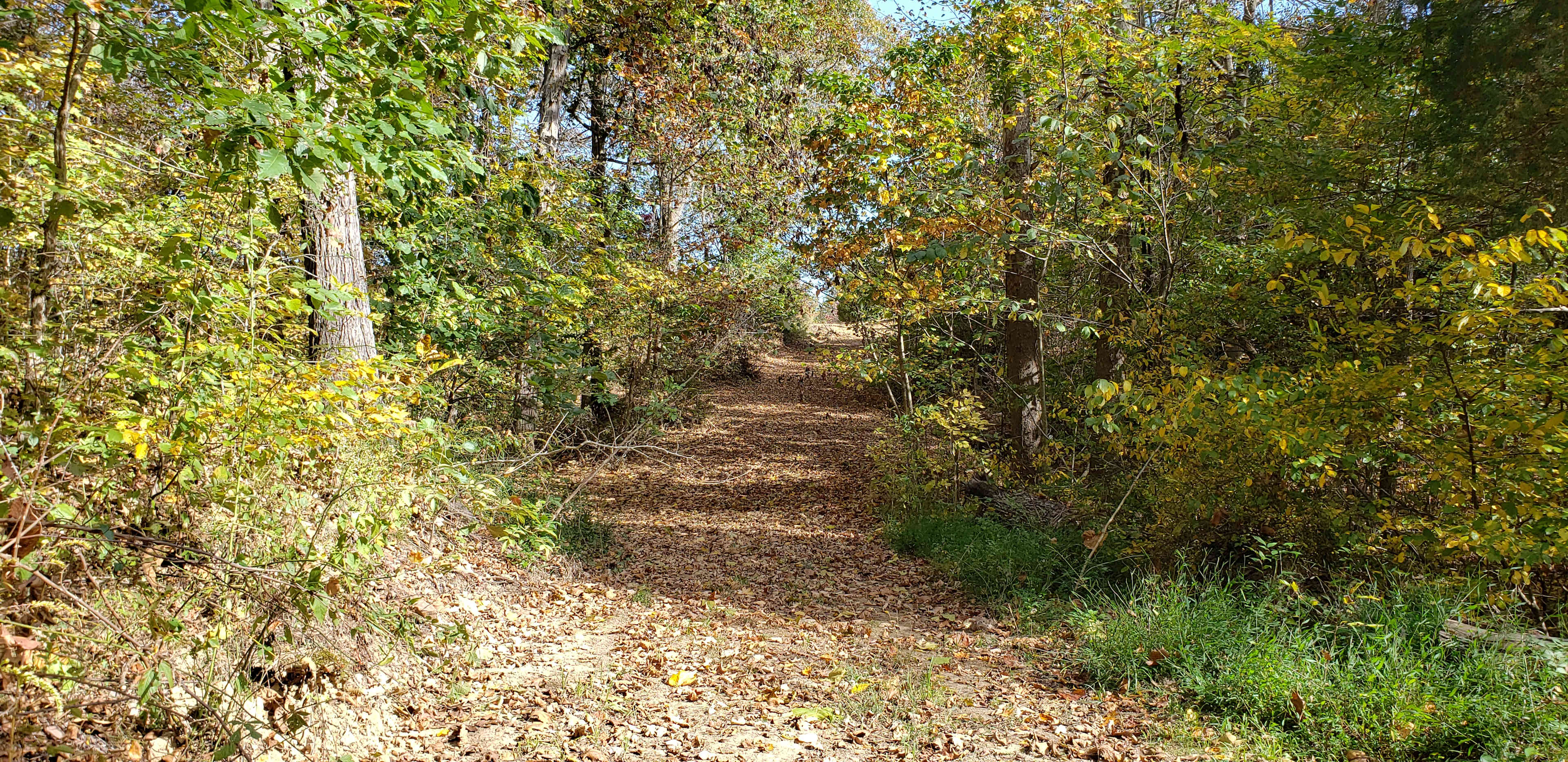Carefree Rv Park & Campground