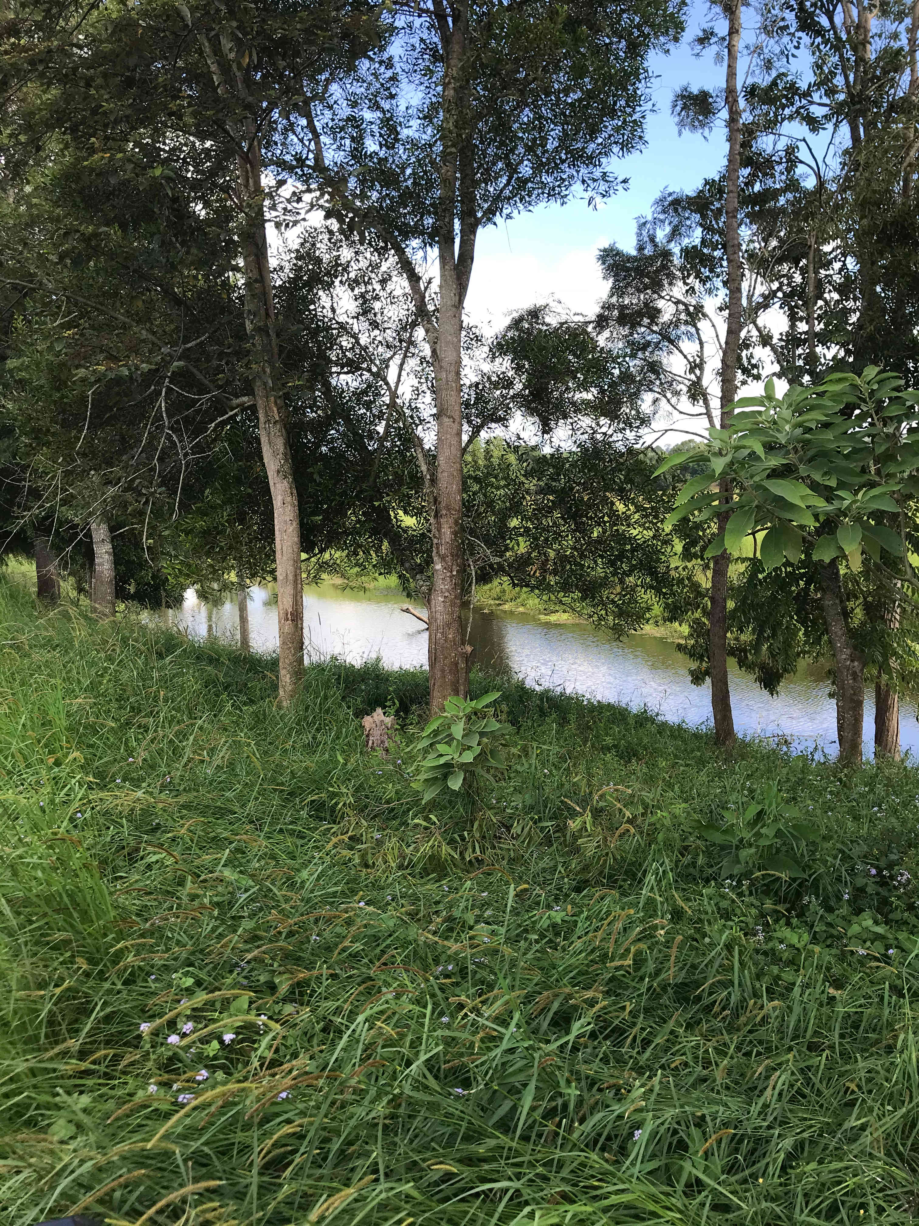 Eltham Station  Byron Hinterland