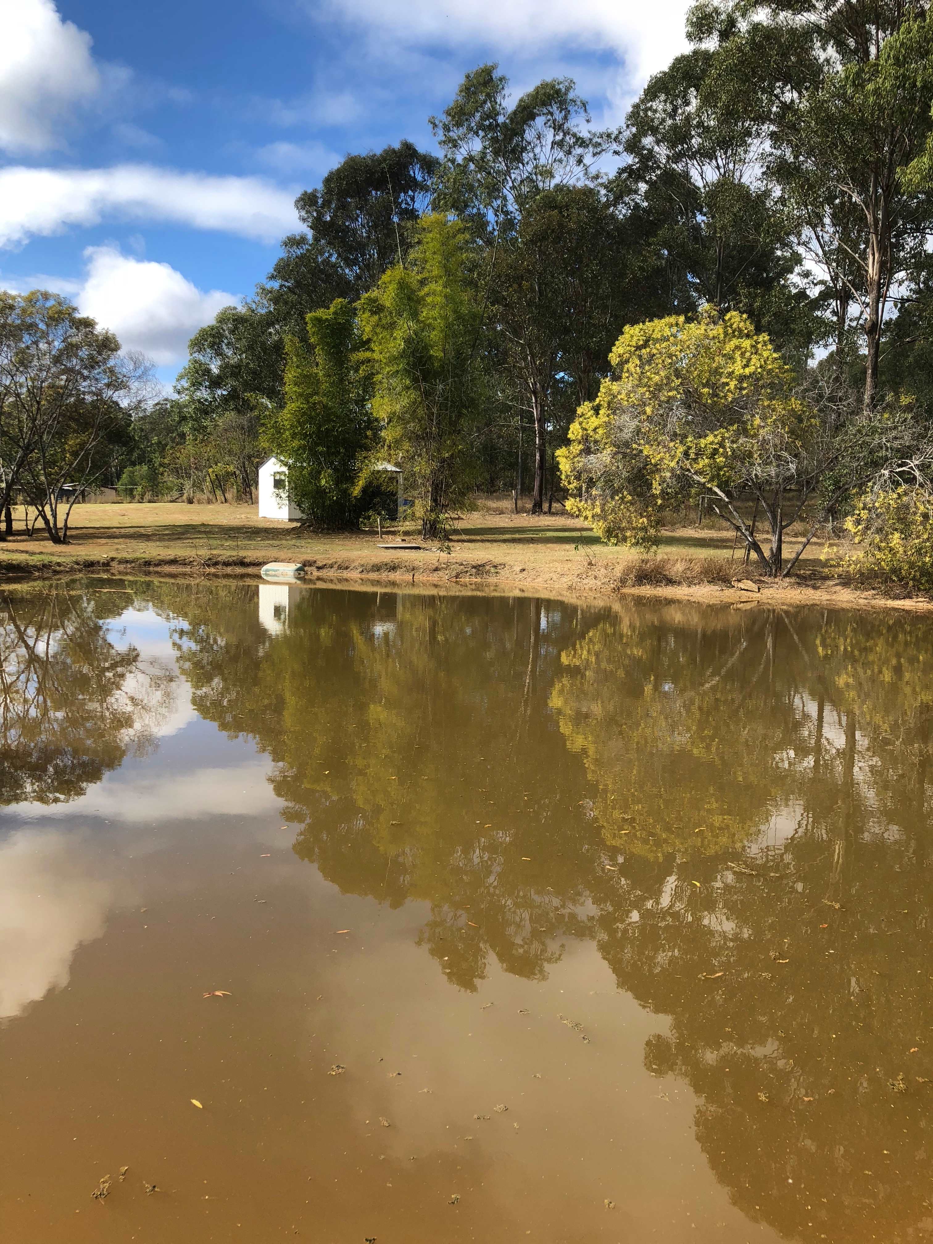 Possum (Curra) Central - Hipcamp in Curra, Queensland