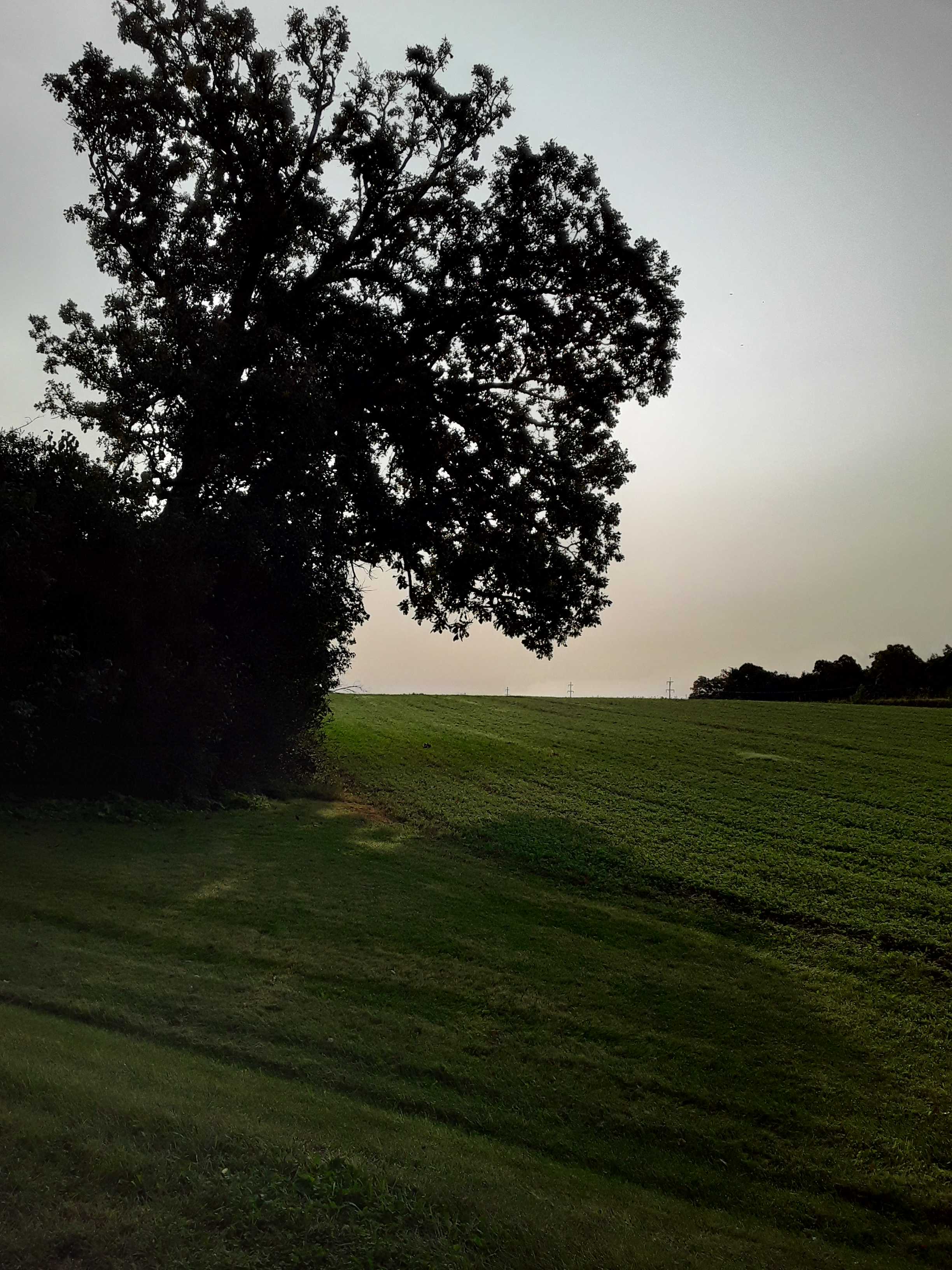Rasset Family Farm