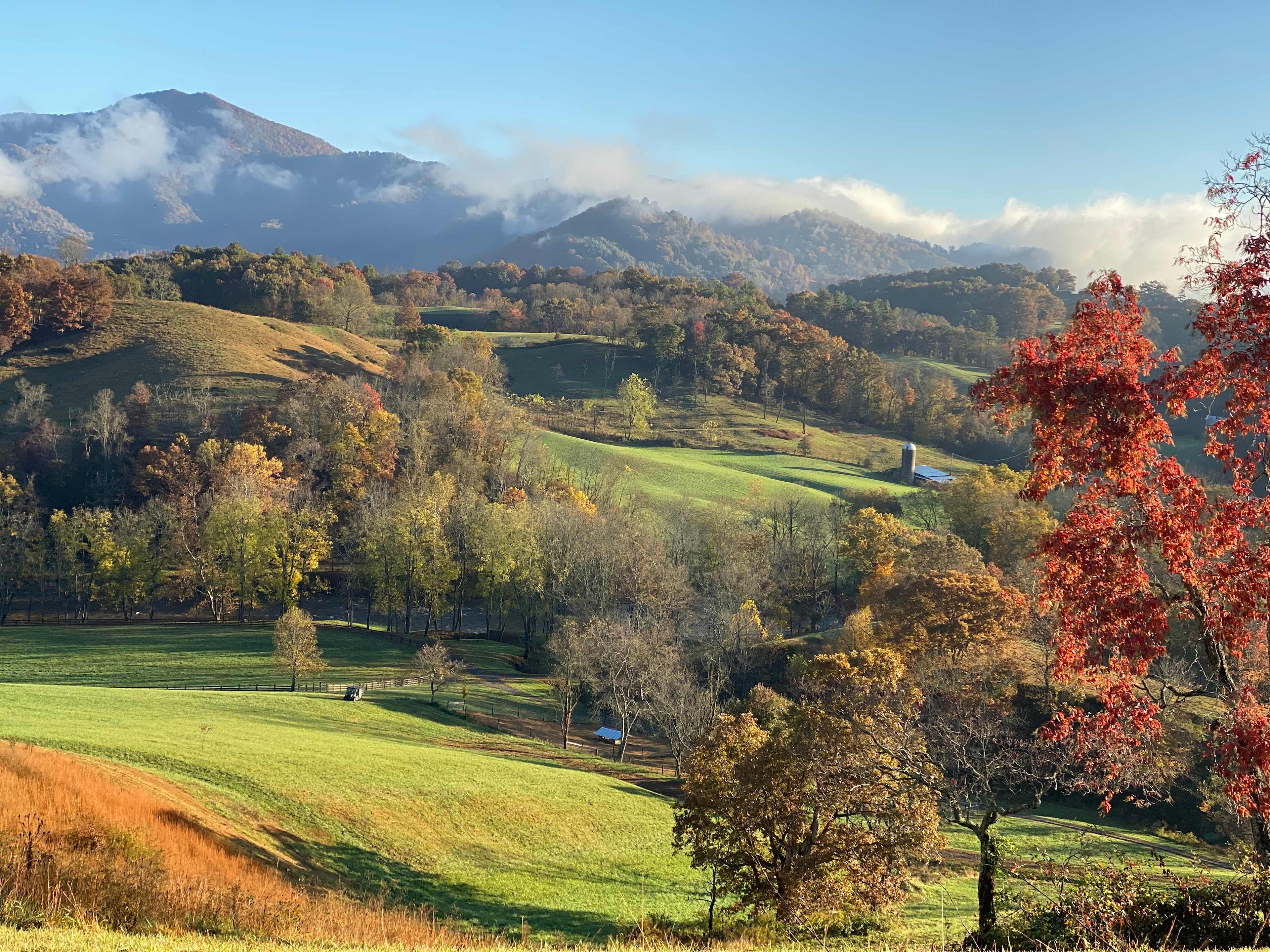 Smoky Mtn Mangalitsa River Ranch