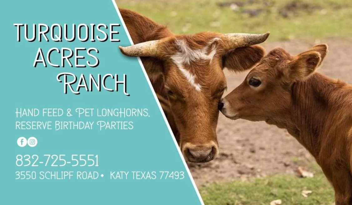 Turquoise Acres Ranch