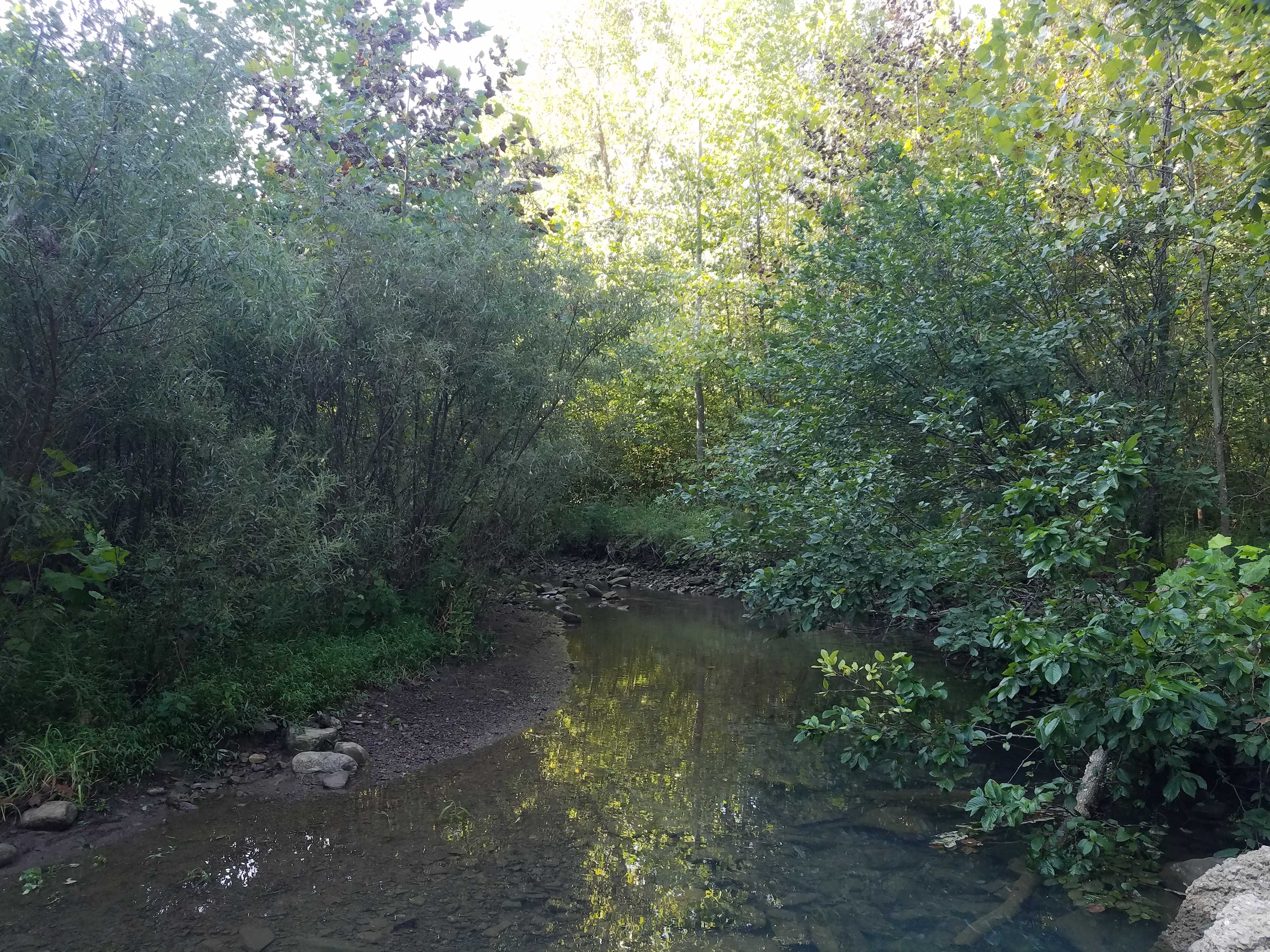creek side camping