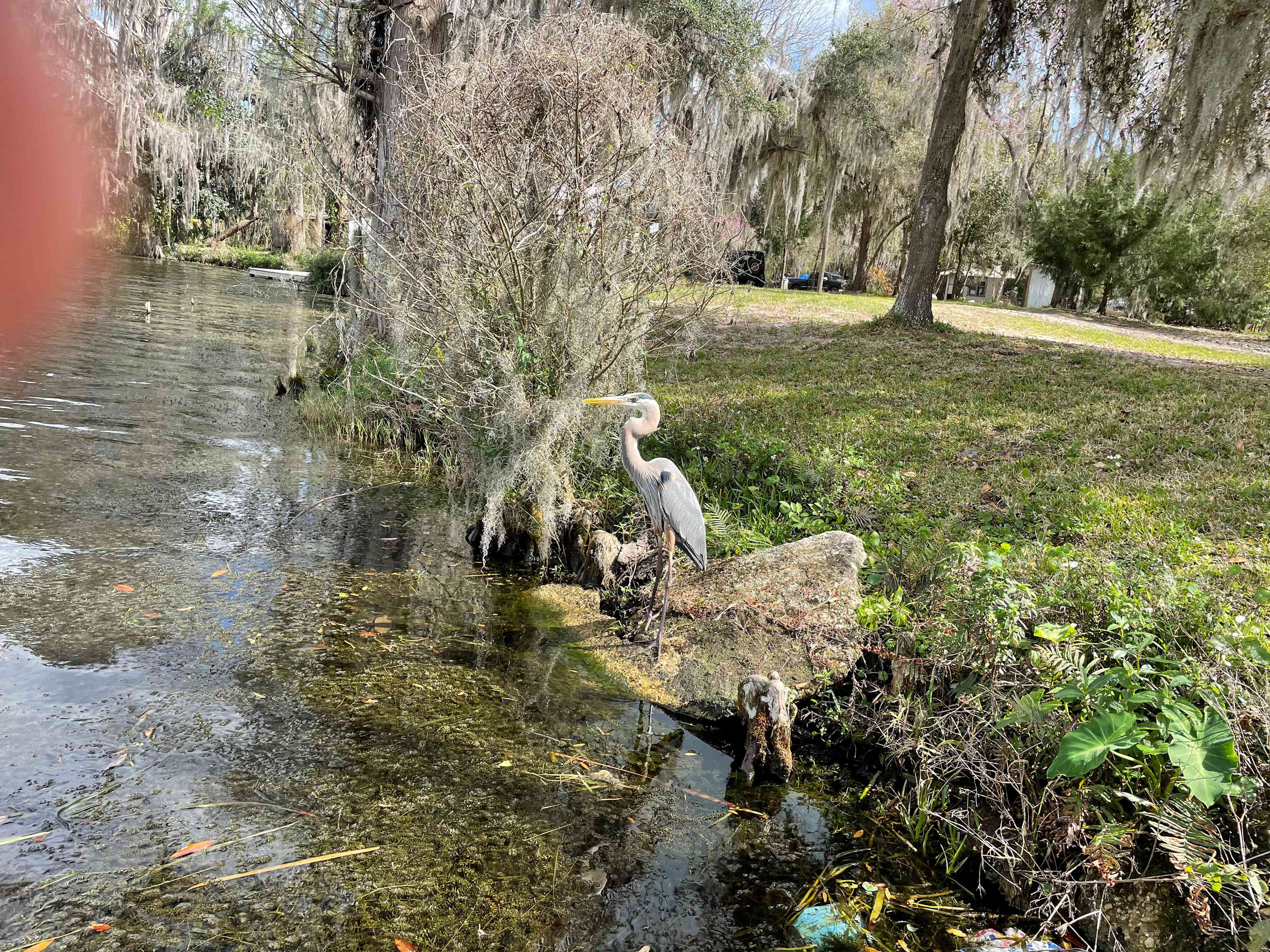 Paradise Lake  Rousseau ,Fl