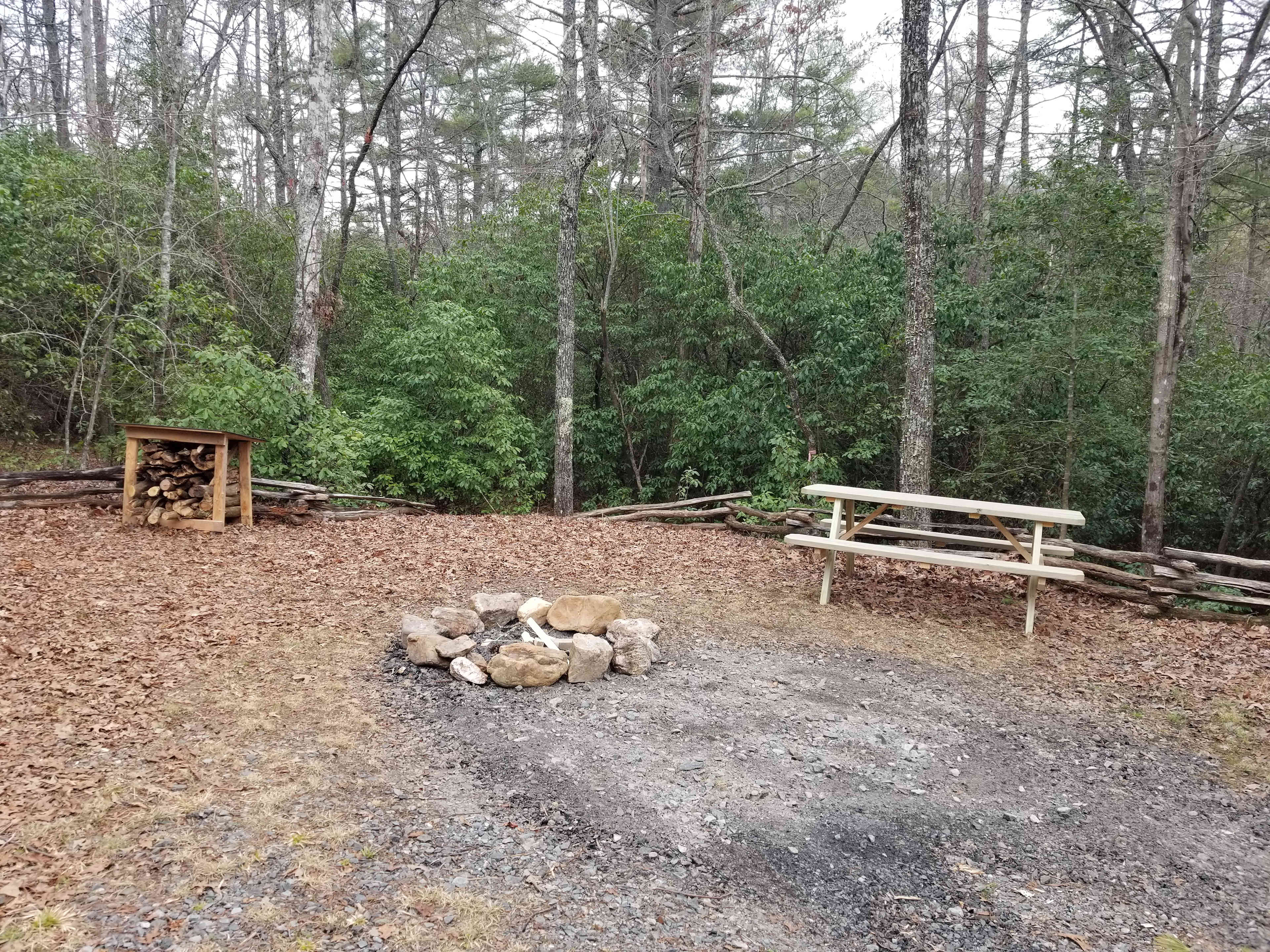 Picture of the site