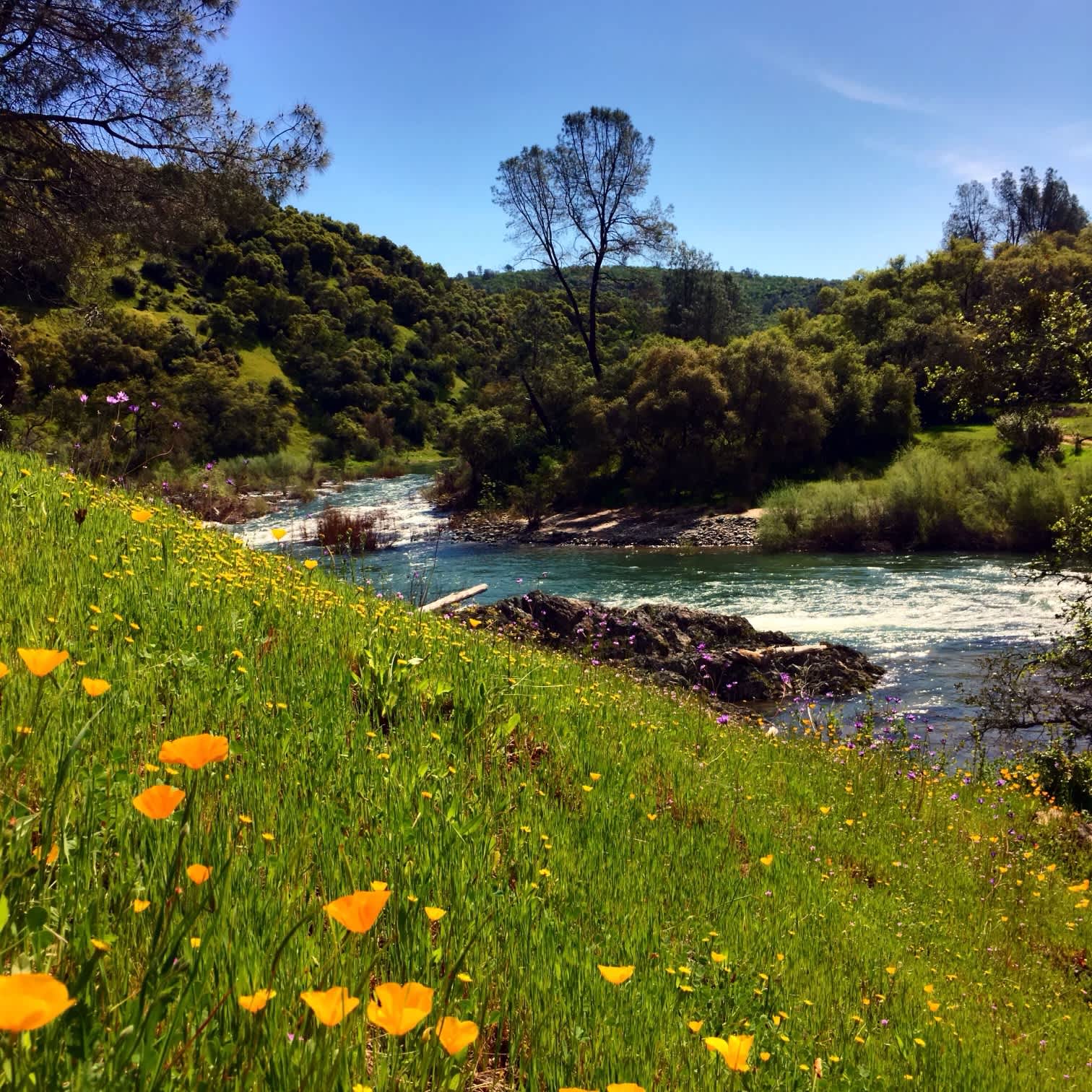 Cosumnes River Ranch